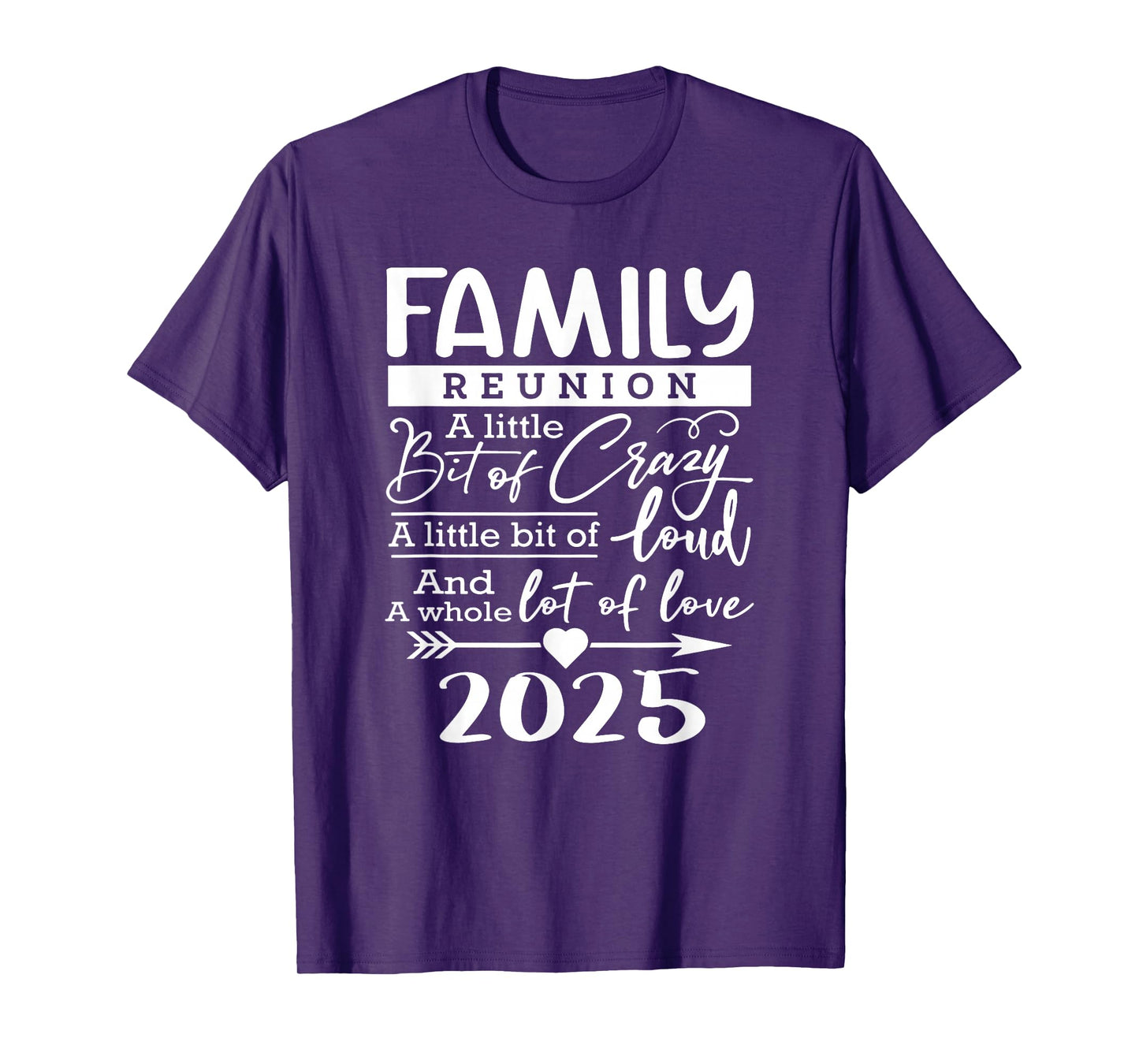 Retro 2025 Family Reunion A Little Bit Of Crazy Funny Family T-Shirt