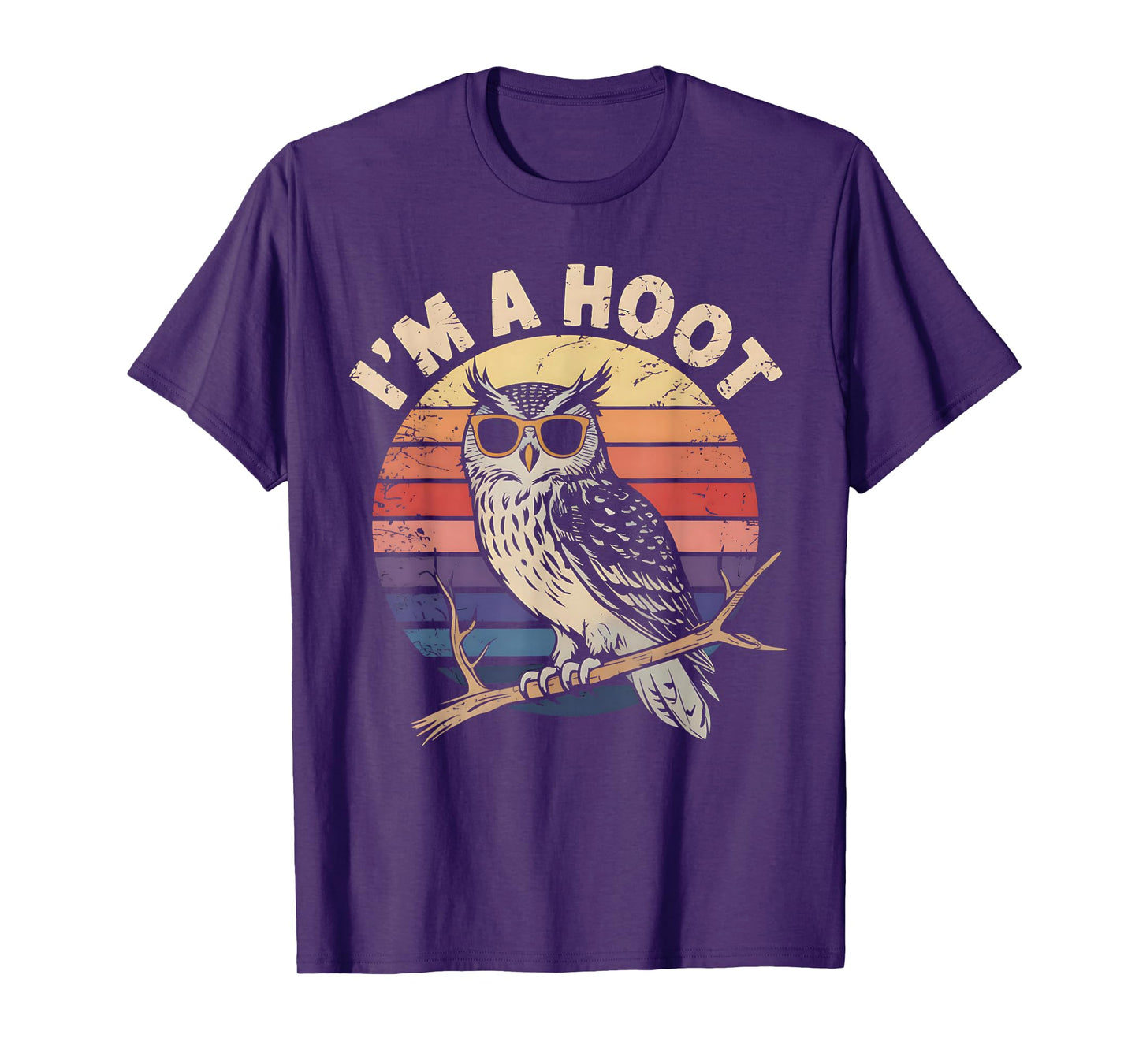 Retro I'M A Hoot Owl Bird Lover Funny Sarcastic Vintage Joke T-Shirt