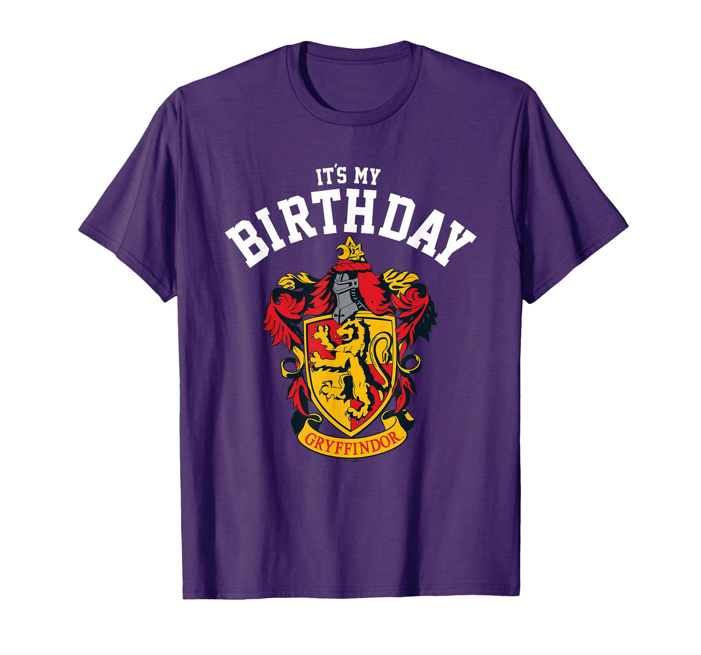 Harry Potter Gryffindor Birthday T-Shirt