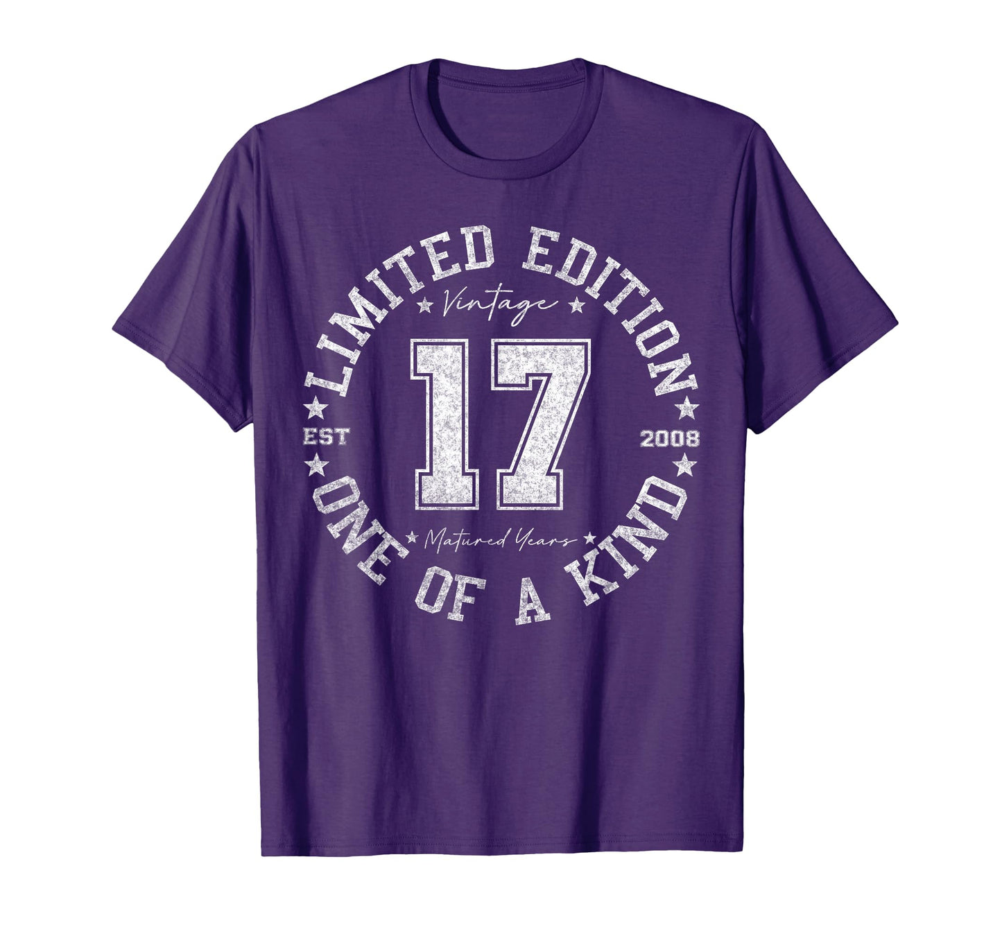 Retro One Of a Kind Shirts For Men Women 2025 17 Year Old Gifts Vintage 2008 Limited Edition 17th Birthday T-Shirt Black Unisex-Youth T-Shirt