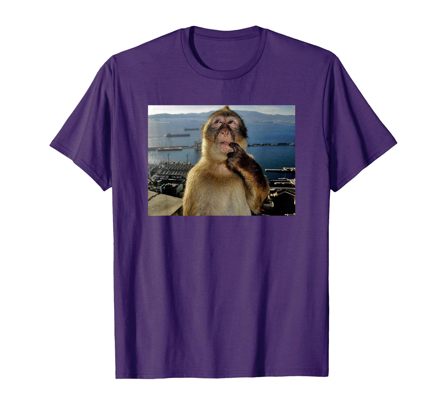 Thinking Monkey Meme T-Shirt
