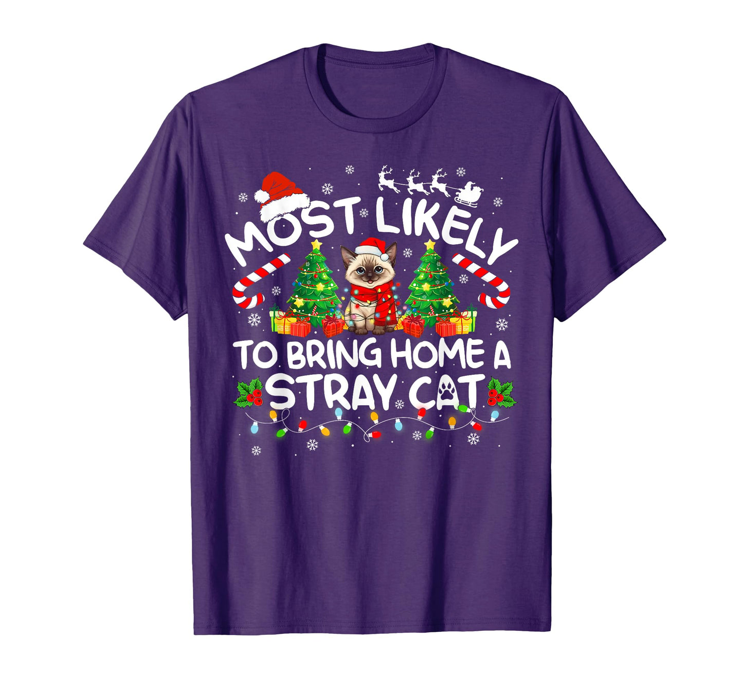 Most Likely To Bring Home A Stray Cat Matching Christmas T-Shirt for Men Women Kids