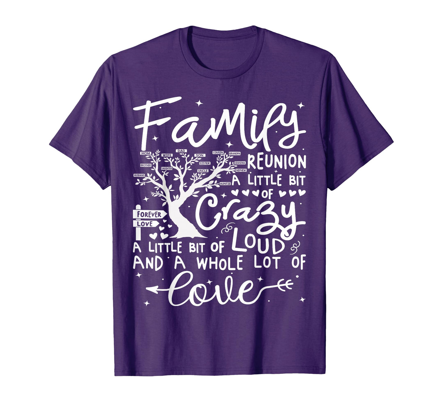 Family Reunion 2025 Shirt Family Matching Reunion Party T-Shirt