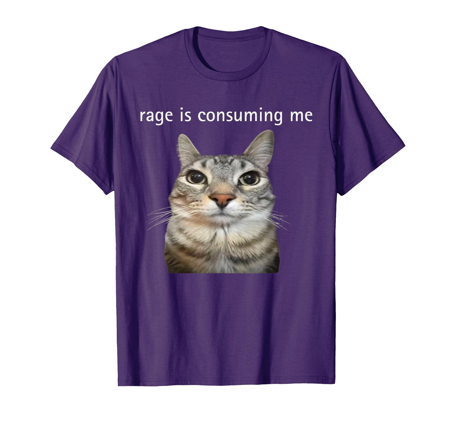 Rage Is Consuming Me Silly Staring Cat Meme T-Shirt