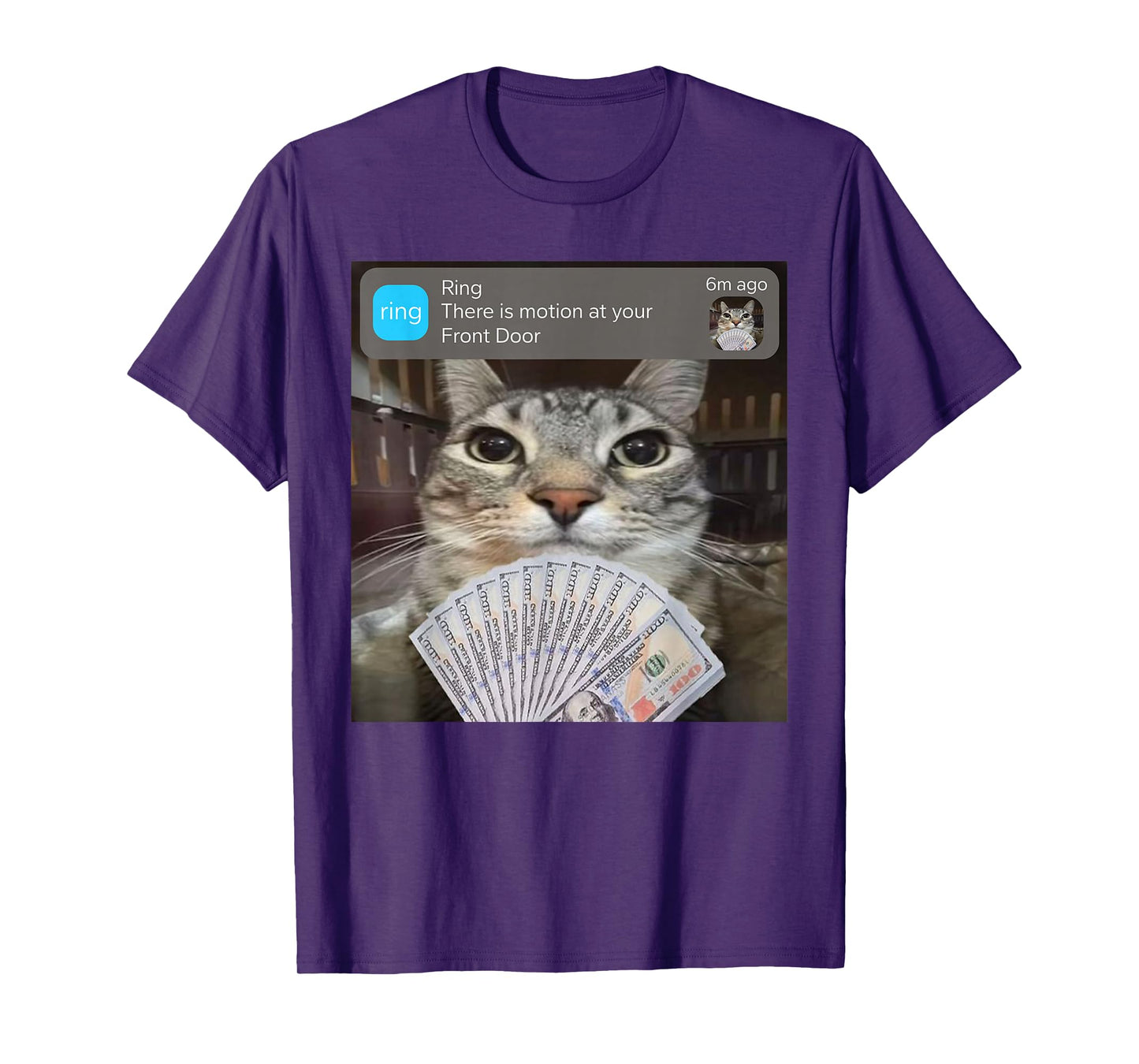 Ring There is Motion at Your Front Door Funny Meme Cute T-Shirt
