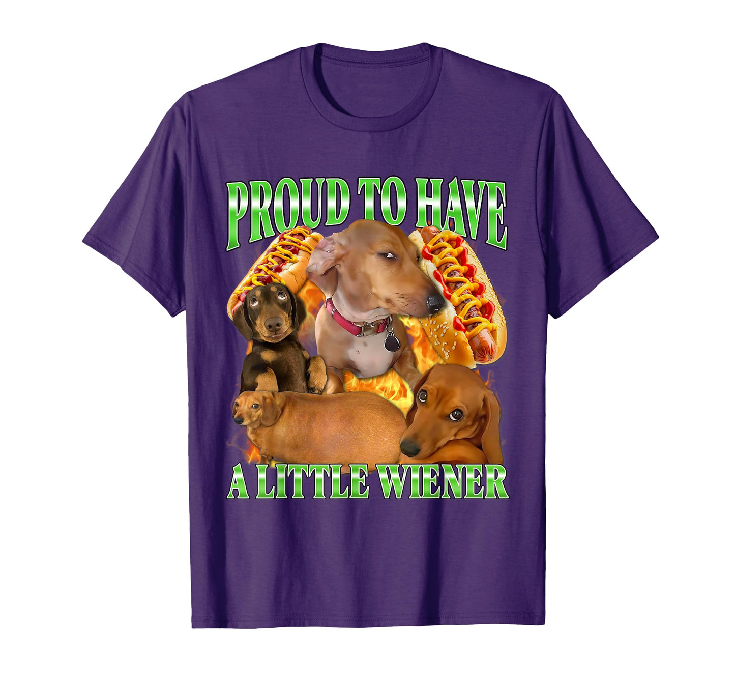 Proud to Have A Little Wiener Funny Offensive Dachshund Dog T-Shirt