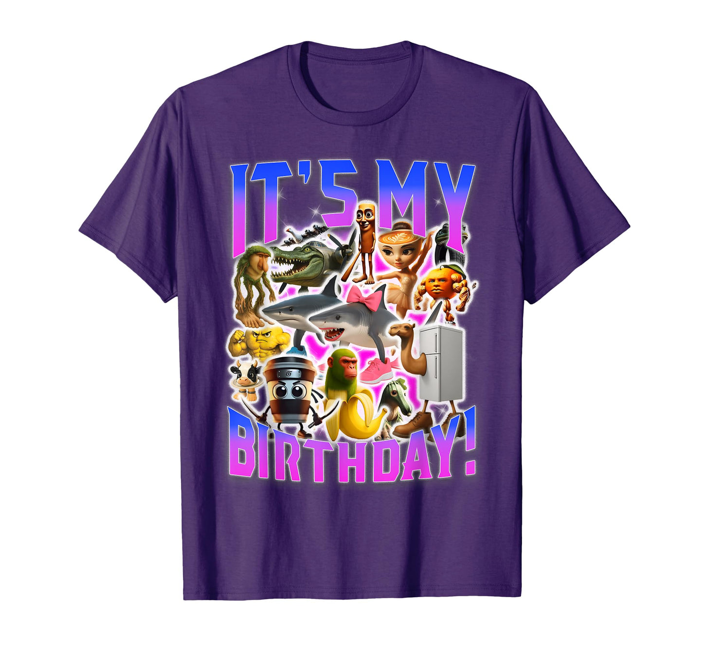 It’s My Birthday Meme Funny Brainrot Design T-Shirt