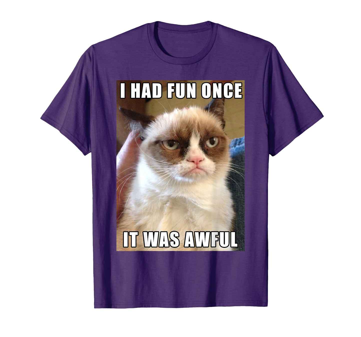 I had fun once. It was awful. T-Shirt