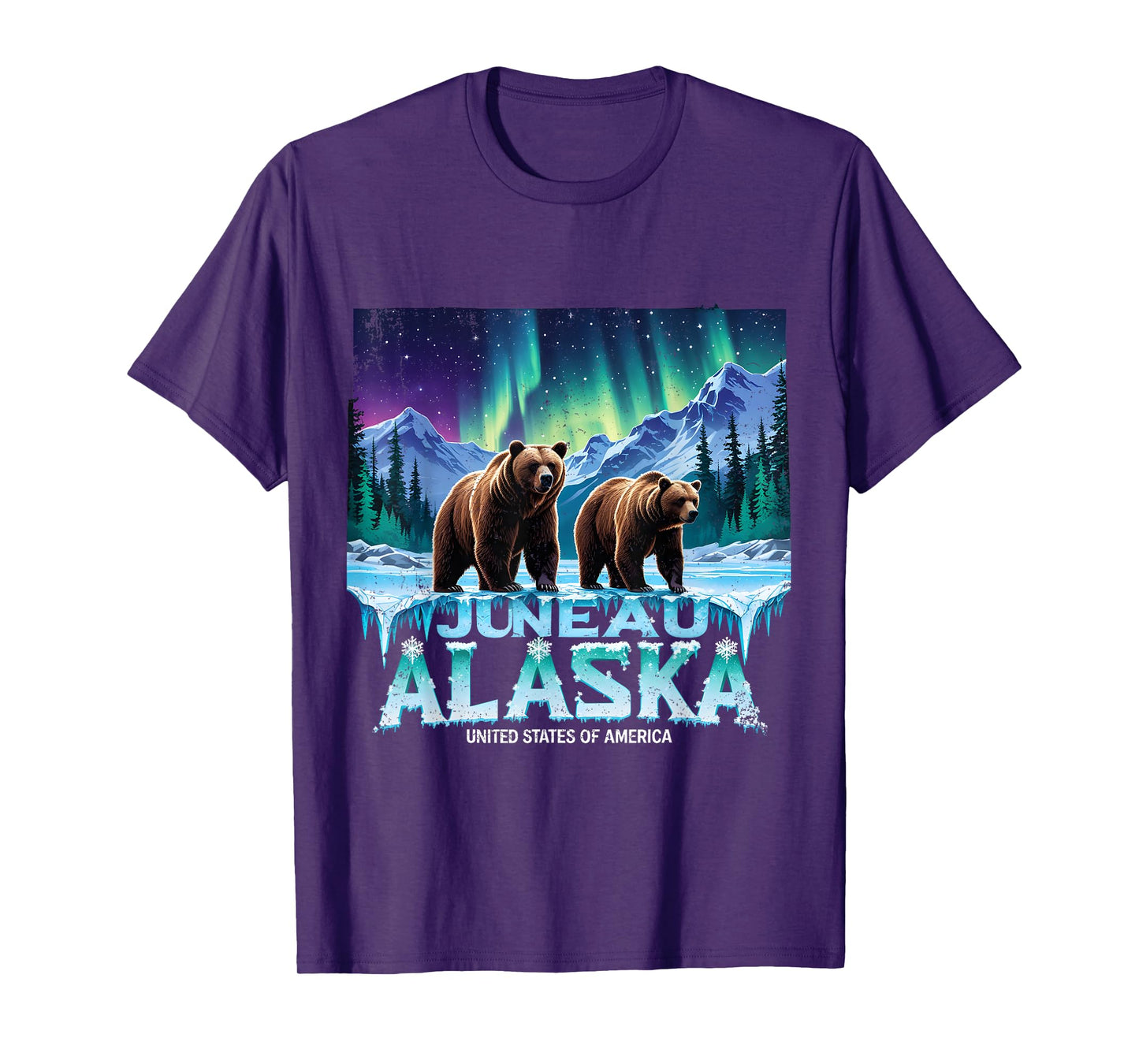 Juneau Alaska Bear Northern Lights Gift Tee T-Shirt