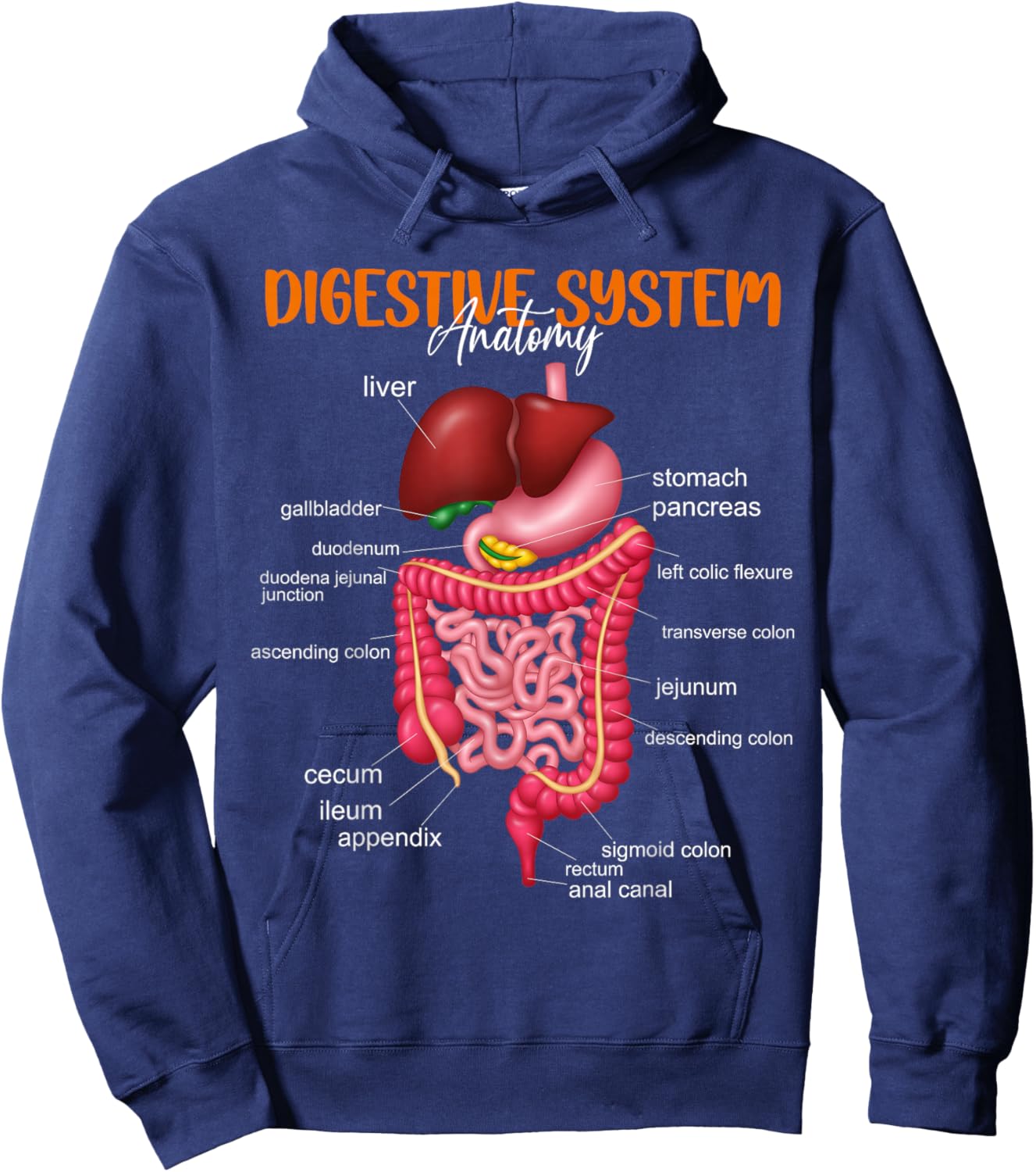 Funny Digestive System Anatomy Anatomical Biology Teacher Hoodie - Hoodie | Navy