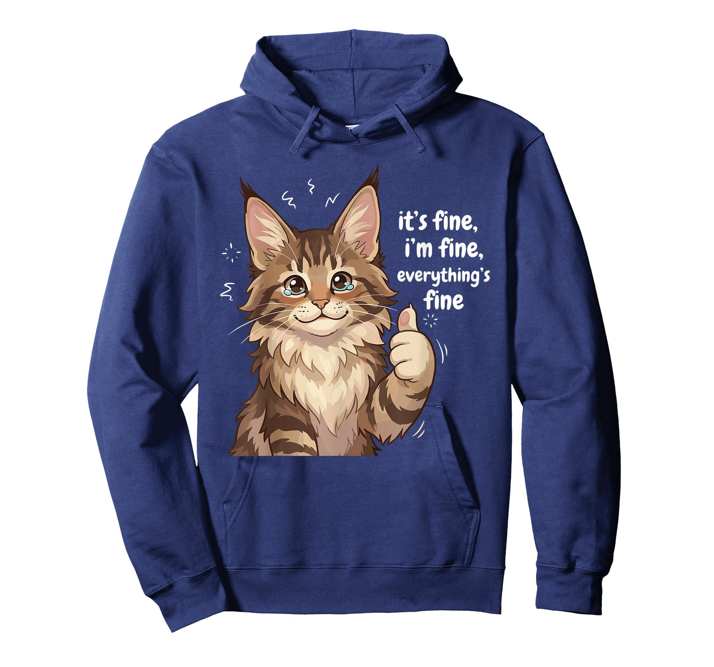 Maine Coon Cat Meme It's fine I'm fine Everything's Kitty T-Shirt