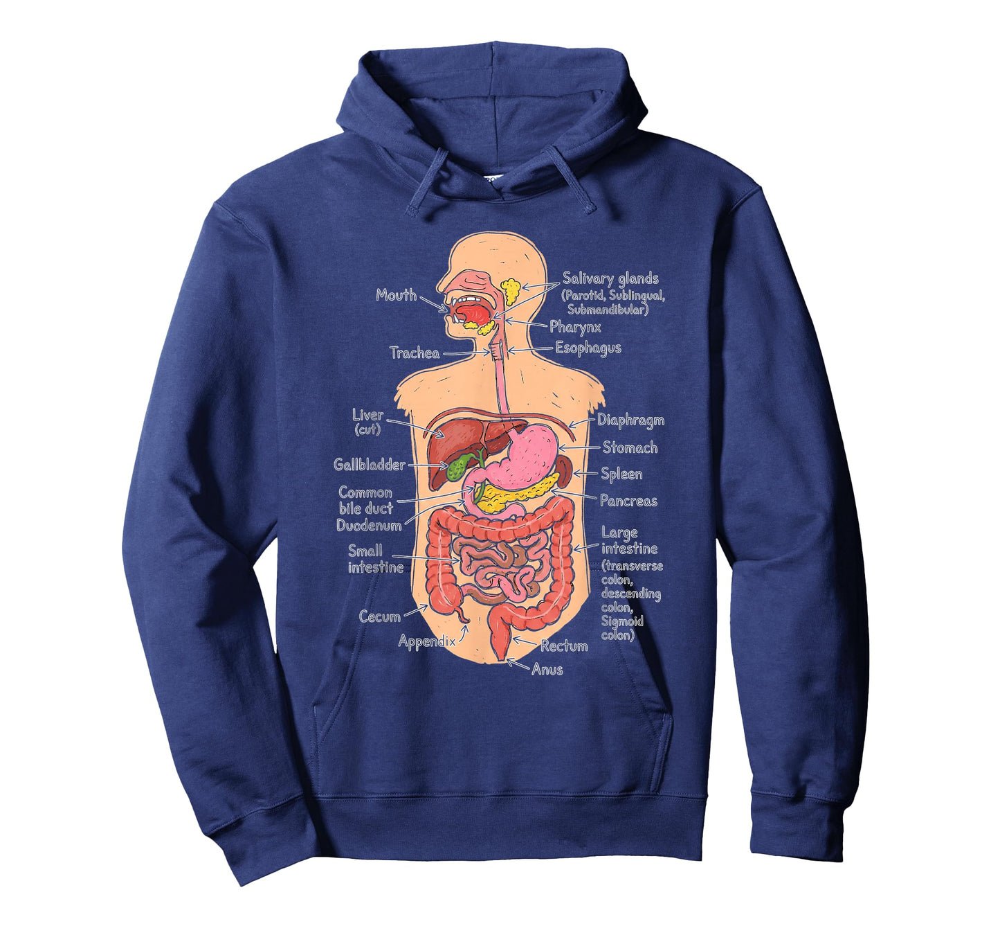 Human Digestive System Anatomy Chart Biology Diagram T-Shirt