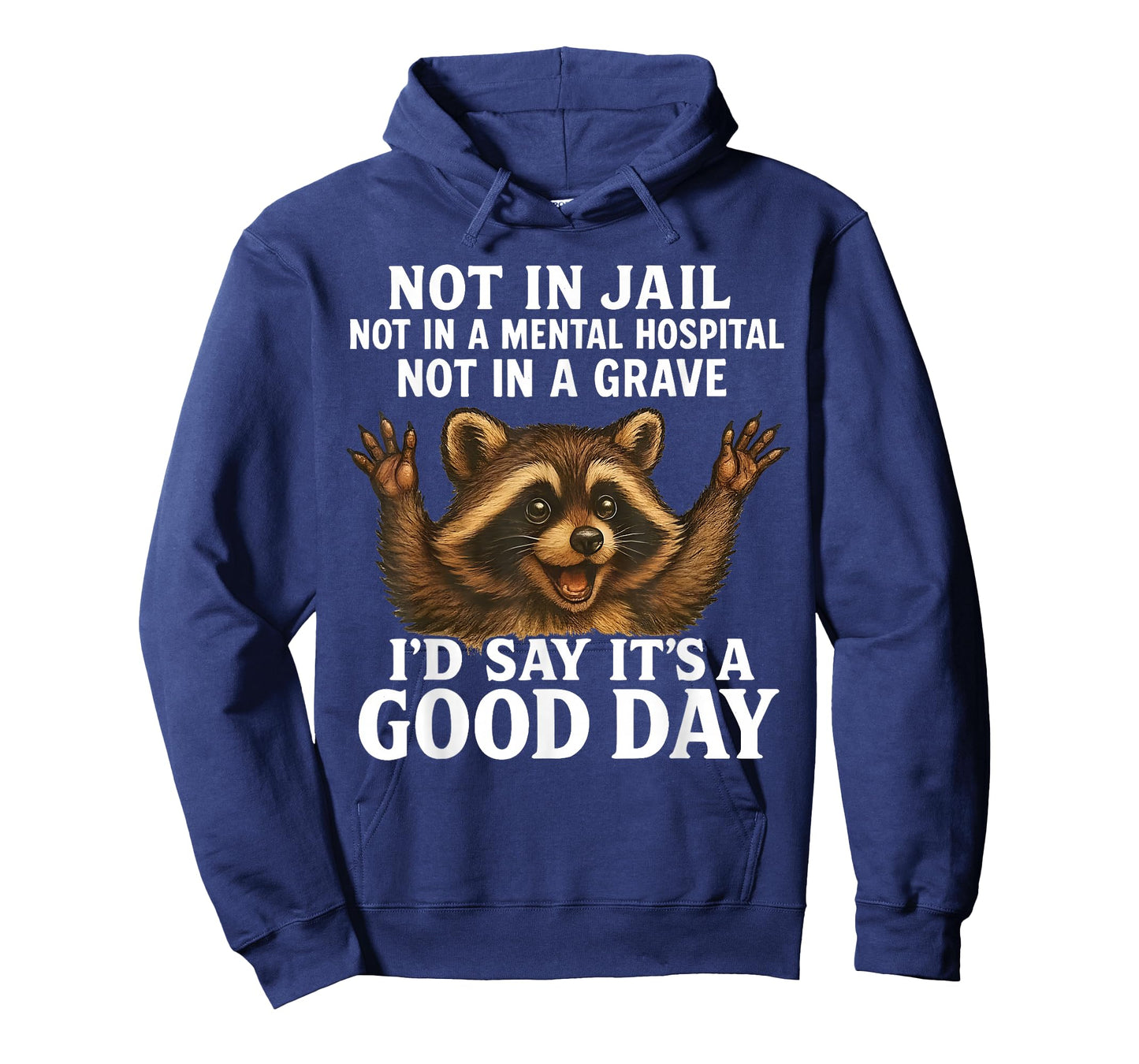 Raccoon Not in Jail Not in A Mental Hospital Funny Saying T-Shirt