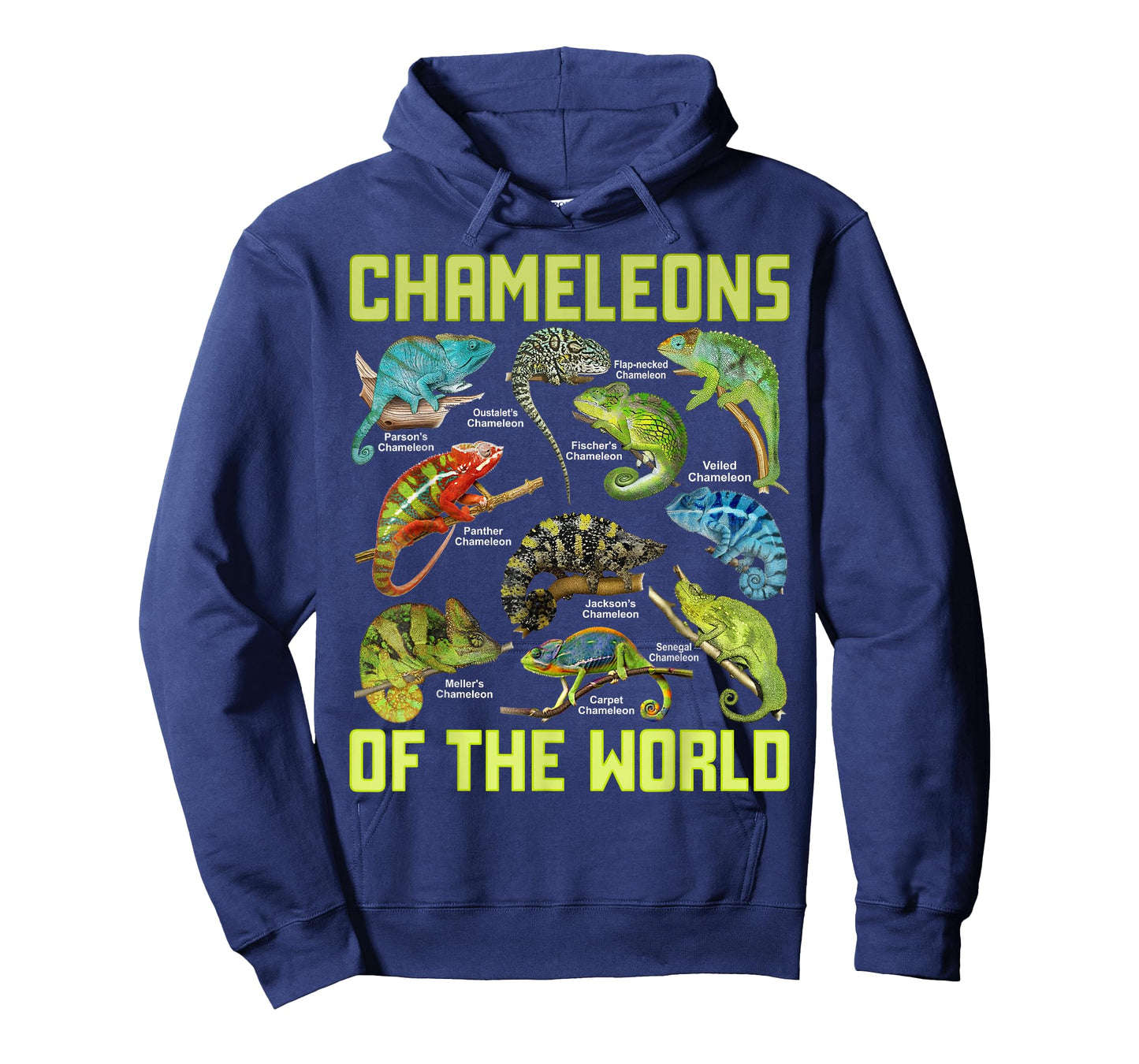 Chameleons of The World Educational Colorful Reptile Lizard T-Shirt
