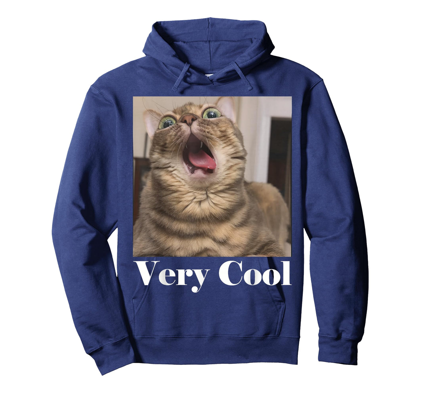 Cats Meme Graphic Silly Cat Humor Funny Cat Very Cool T-Shirt