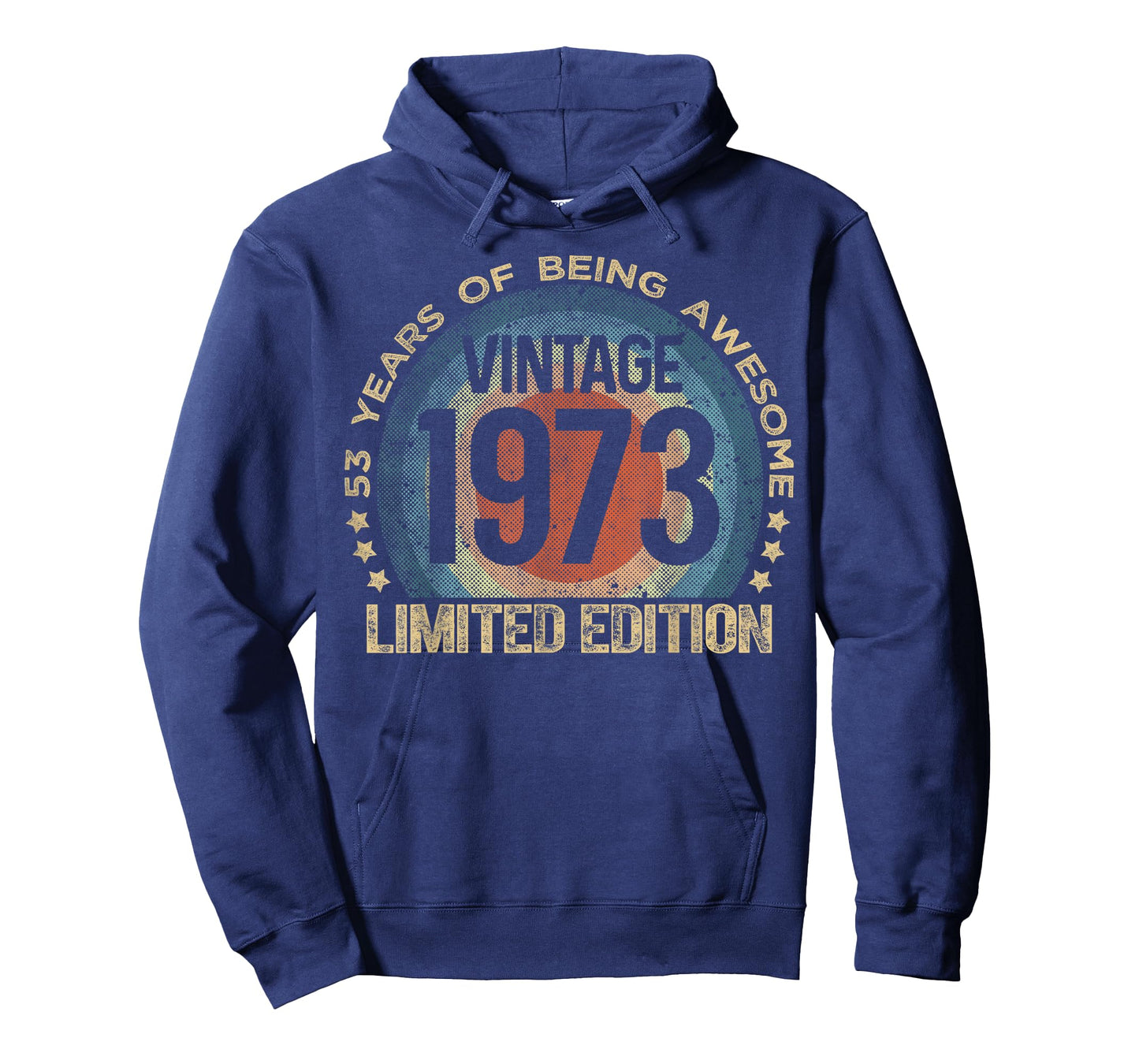 53 Year Old Gifts Vintage 1973 Limited Edition 53rd Birthday T-Shirt