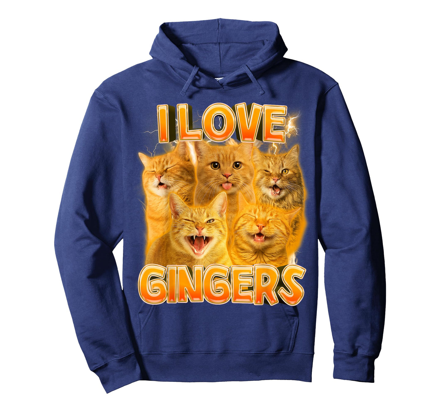 Ginger Cat Lover Cat Mom Cat Person Funny I Love Gingers T-Shirt
