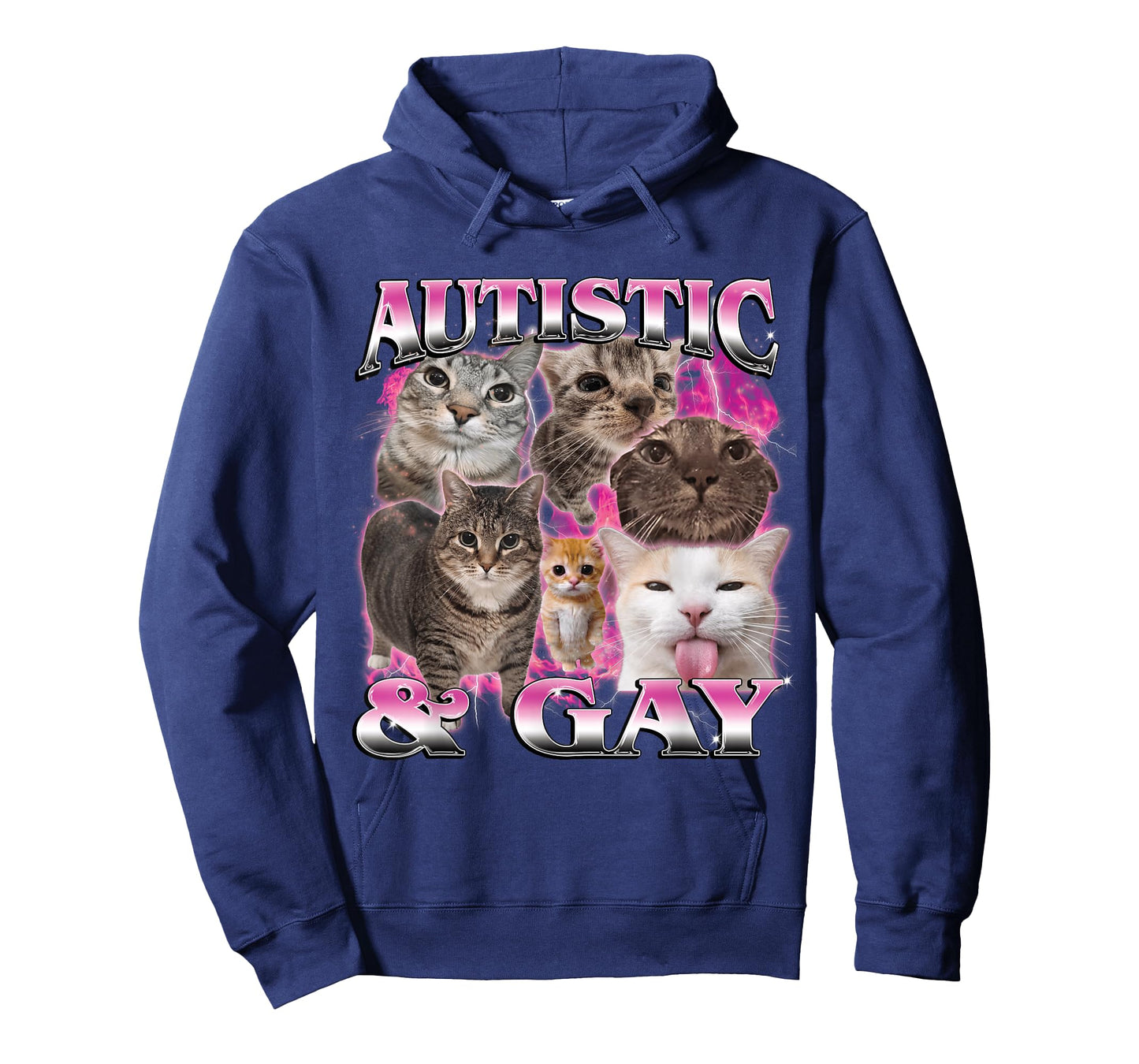 Autistic and Gay Funny Stupid Dank Cat Meme Bootleg Graphic T-Shirt