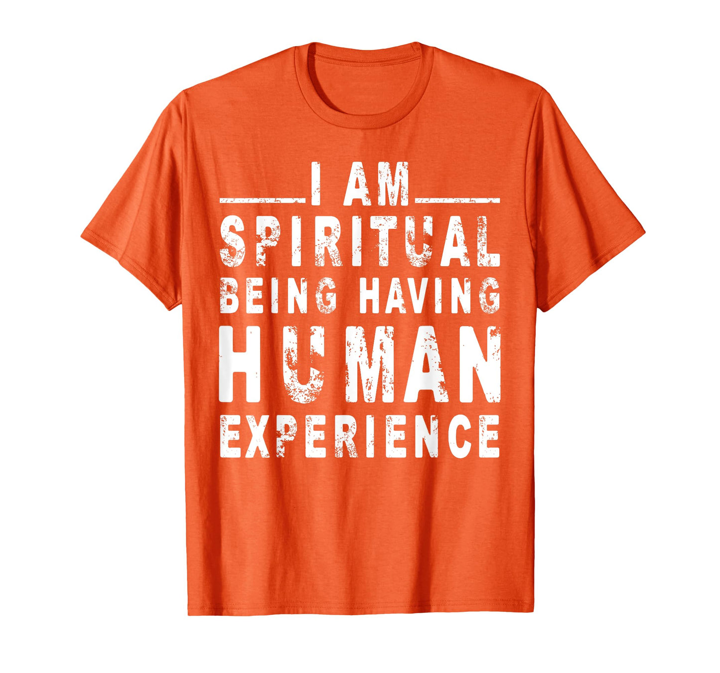 I am spiritual being having human Experience T-Shirt