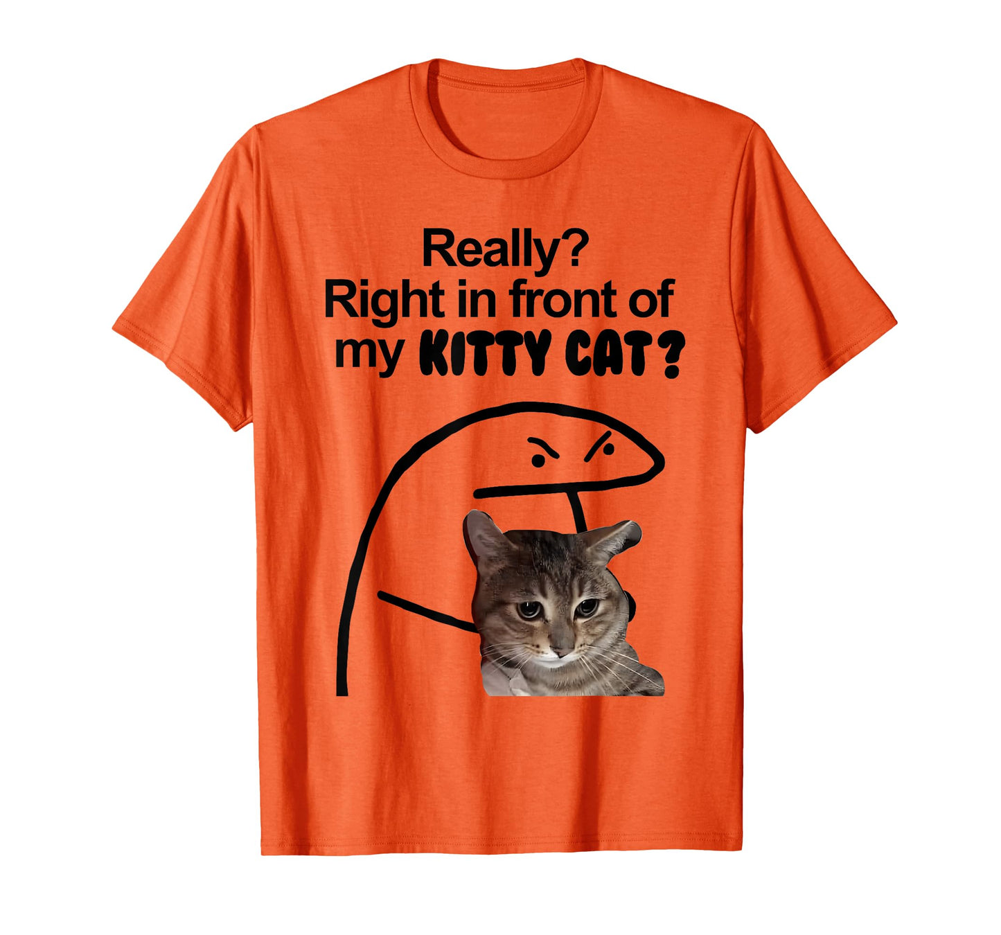 Really? Right in front of my KITTY CAT Meme T-Shirt