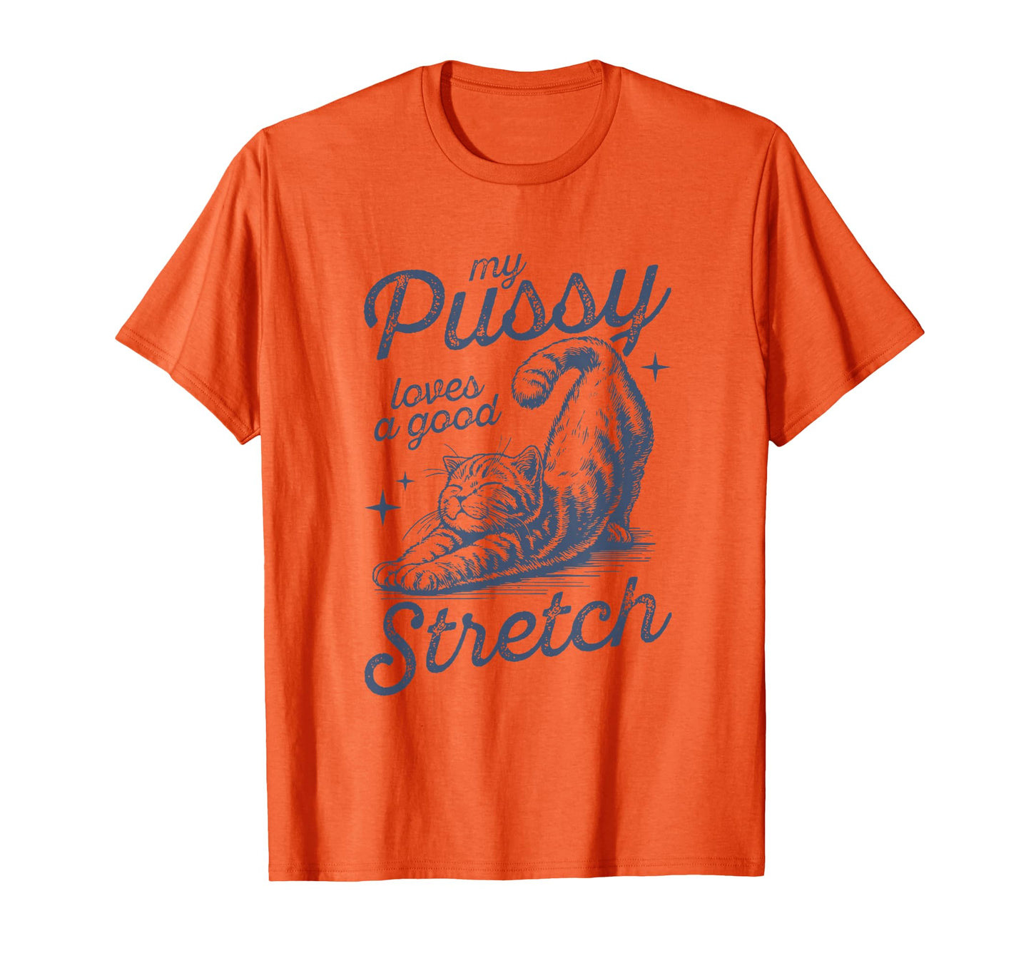 My Pussy Loves A Good Stretch Funny Meme T-Shirt