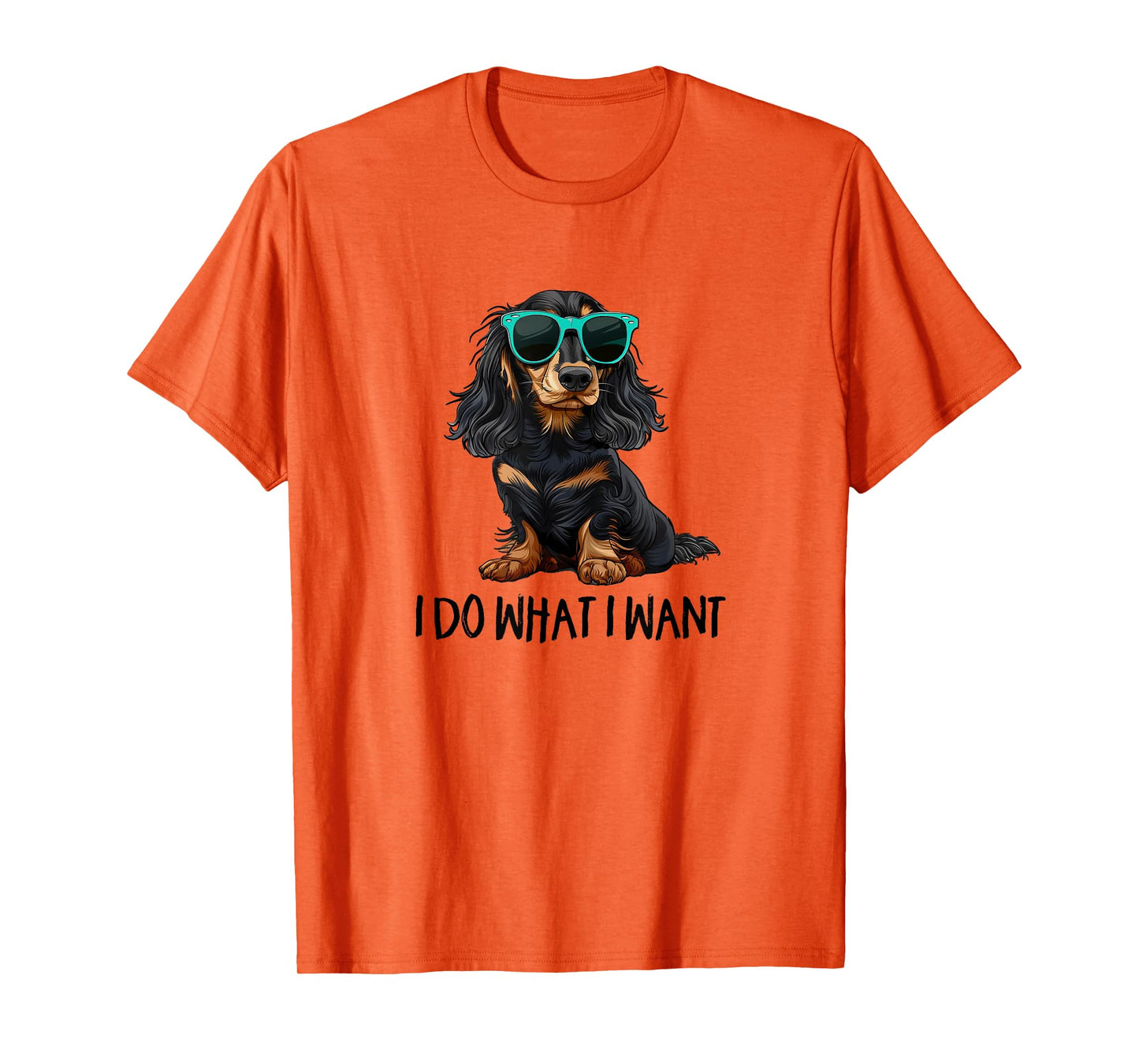 Funny Do What I Want Black Long Haired Dachshund Lover T-Shirt