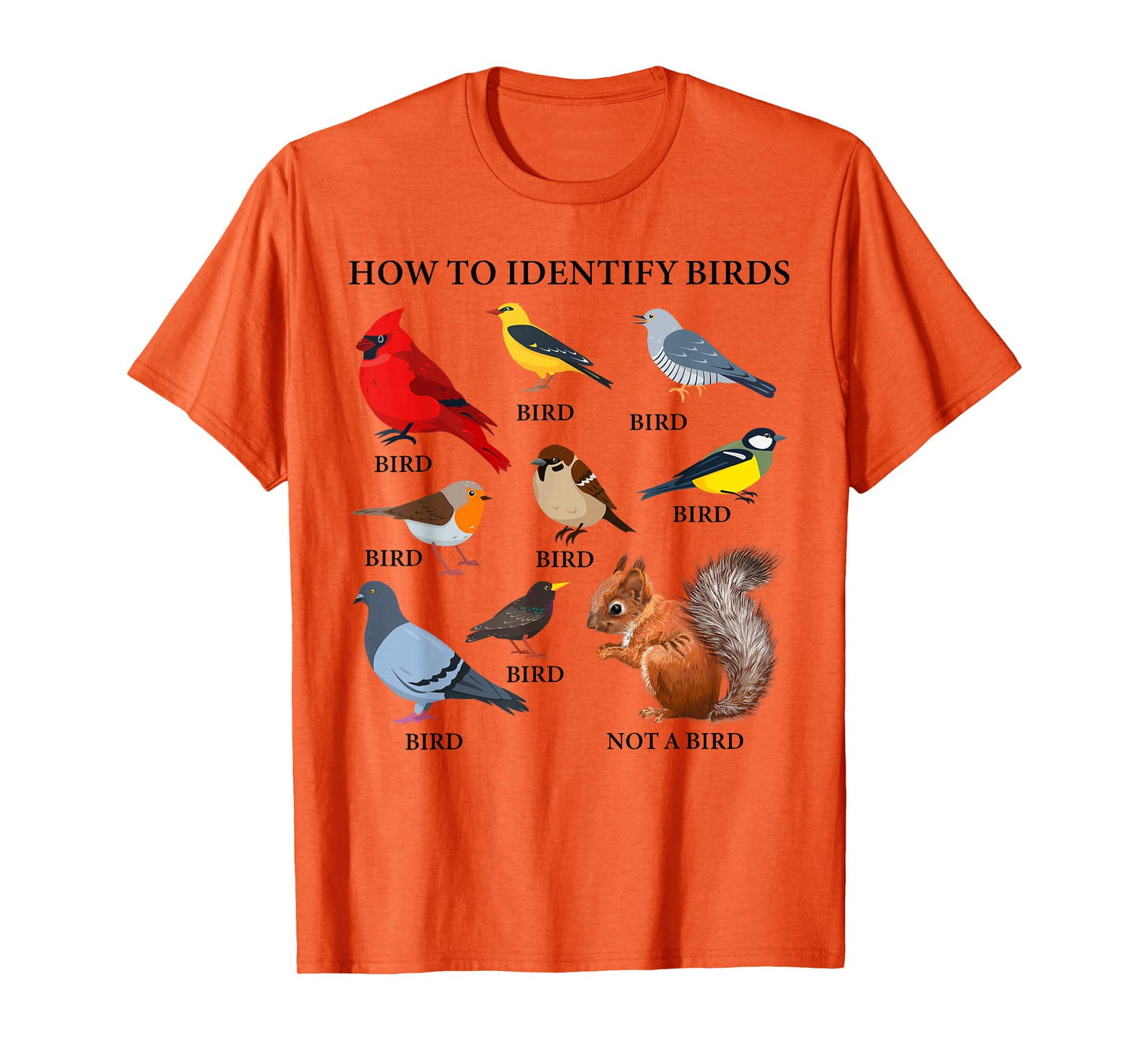 How to Identify Birds Funny Birds Identification Birdwatcher T-Shirt