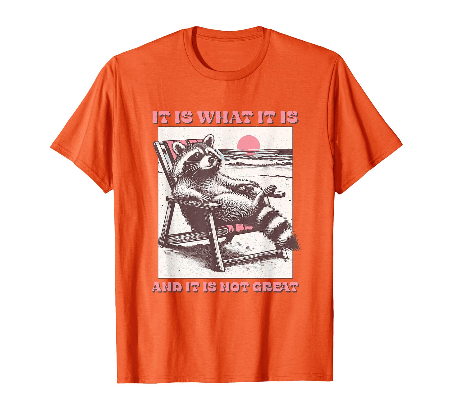 It Is What It Is And It Is Not Great Raccoon T-Shirt
