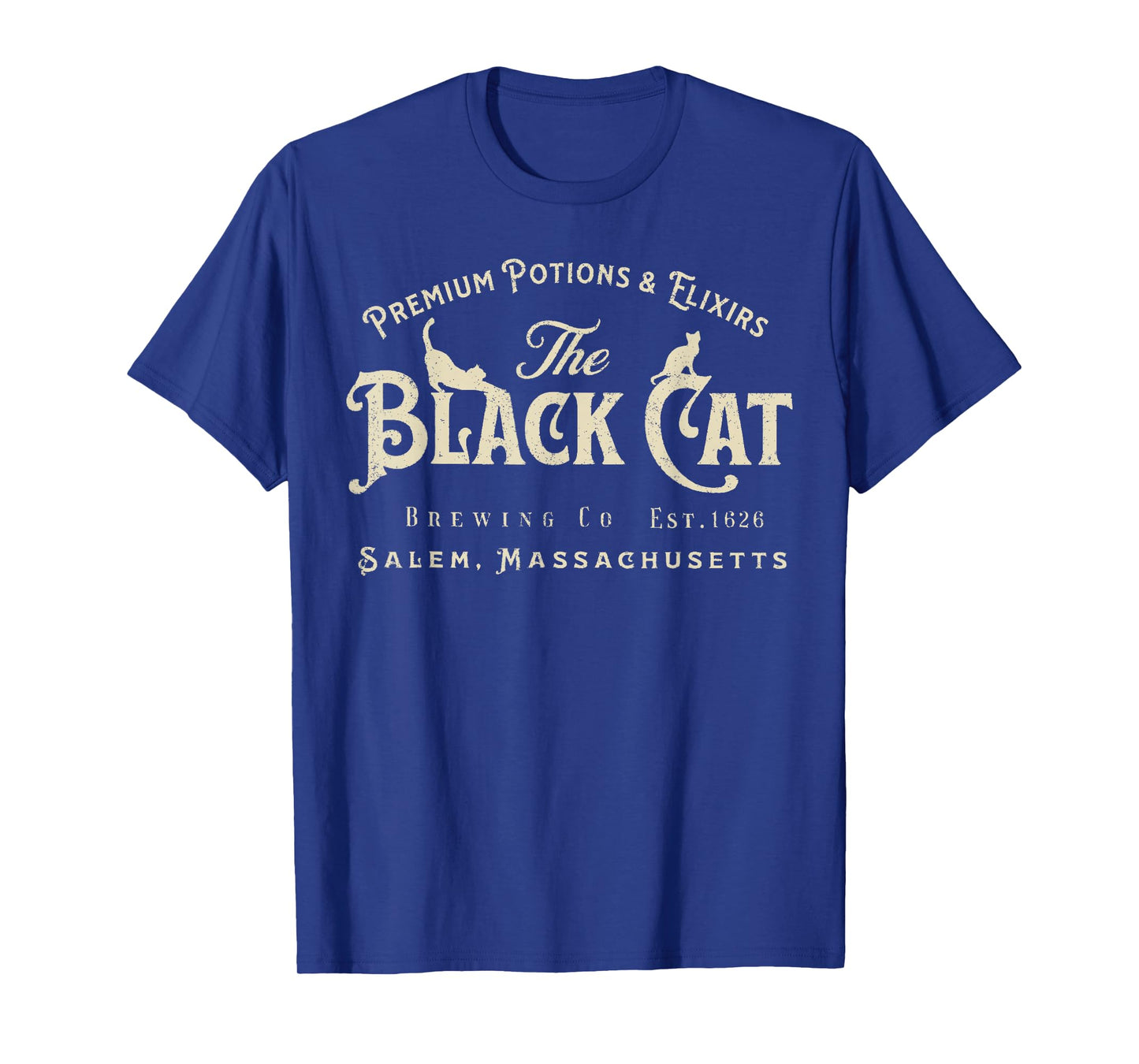 The Black Cat Witchy Salem Est 1626 Halloween Cat Lover Gift T-Shirt