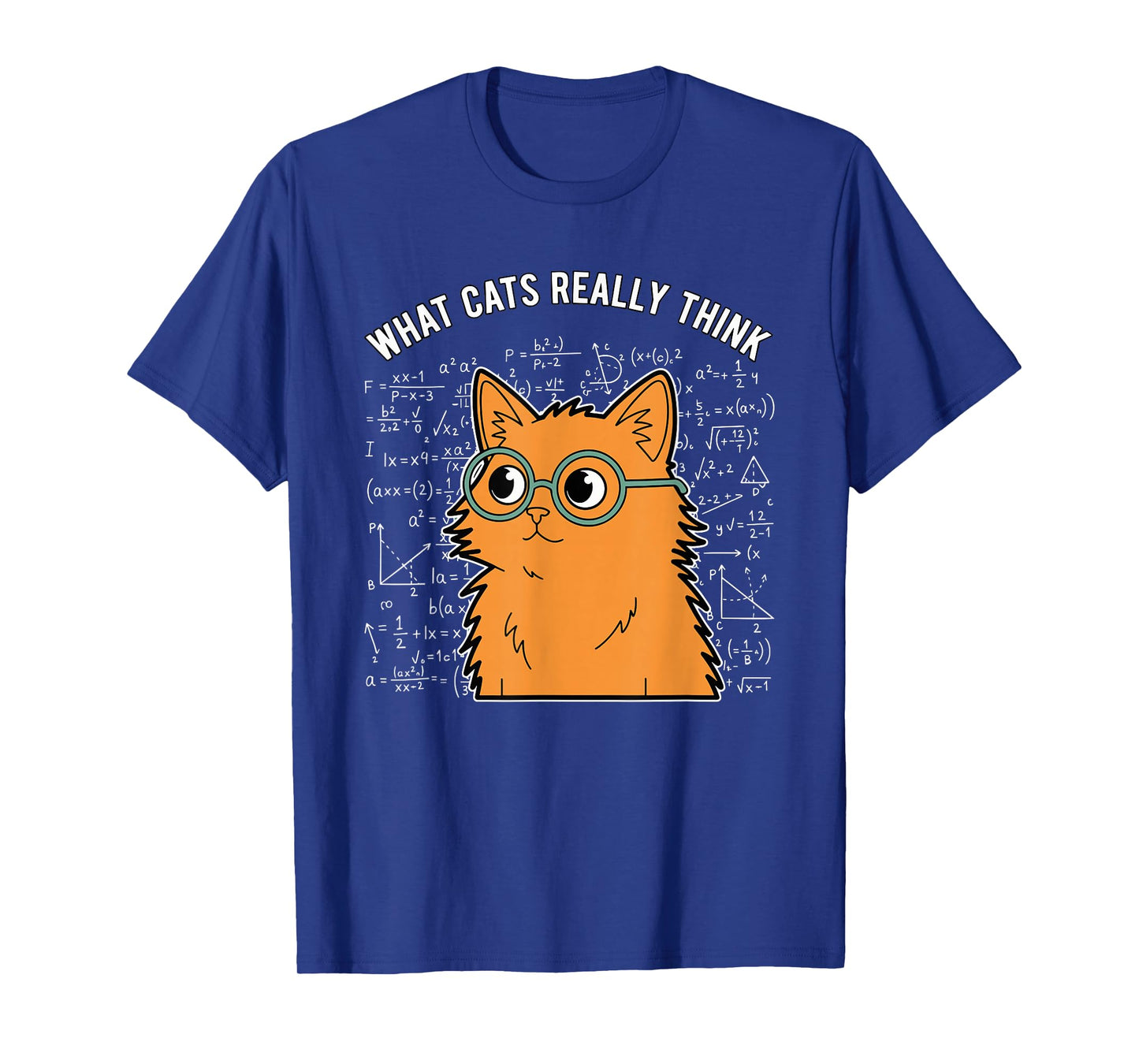 What Cats Really Think Funny Nerdy Math Cat Equations T-Shirt