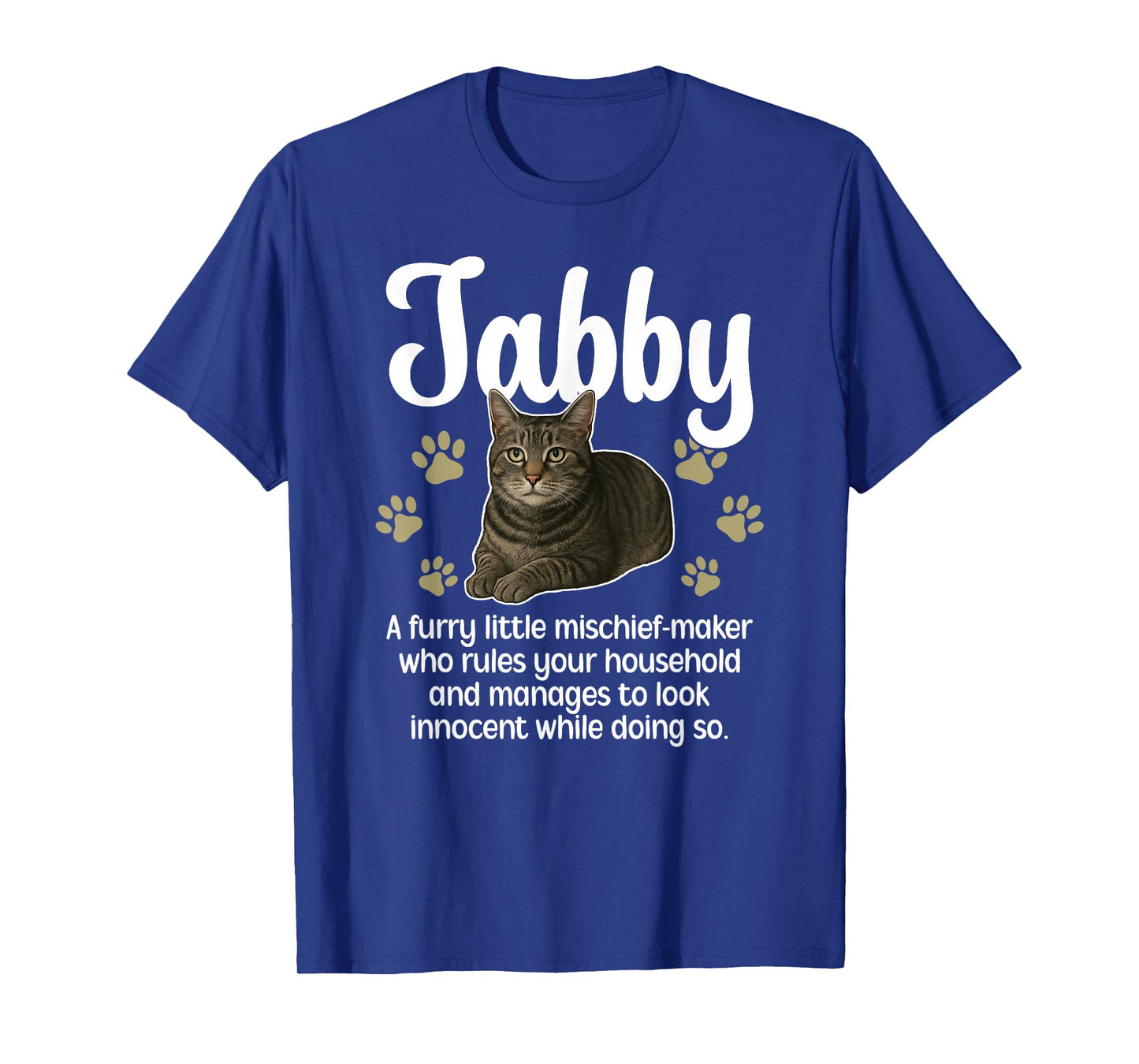 Funny Gray Tabby Cat Owner Grey Tabby Cat Lover T-Shirt
