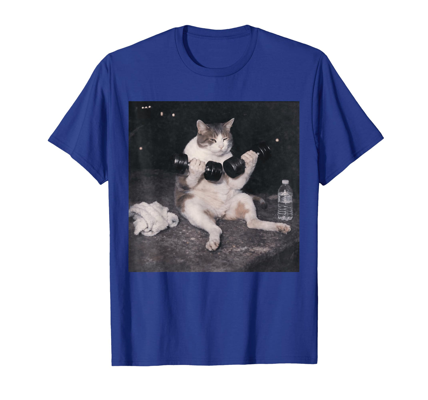 Funny Gym Cat Meme Vintage Weightlifting Workout Day Humor T-Shirt