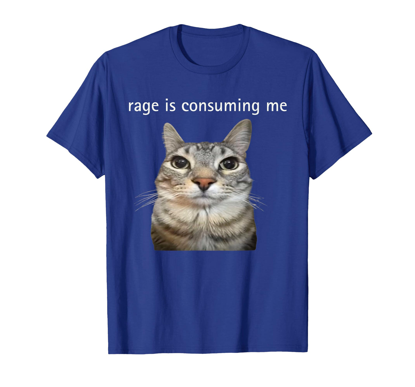 Rage Is Consuming Me Silly Staring Cat Meme T-Shirt