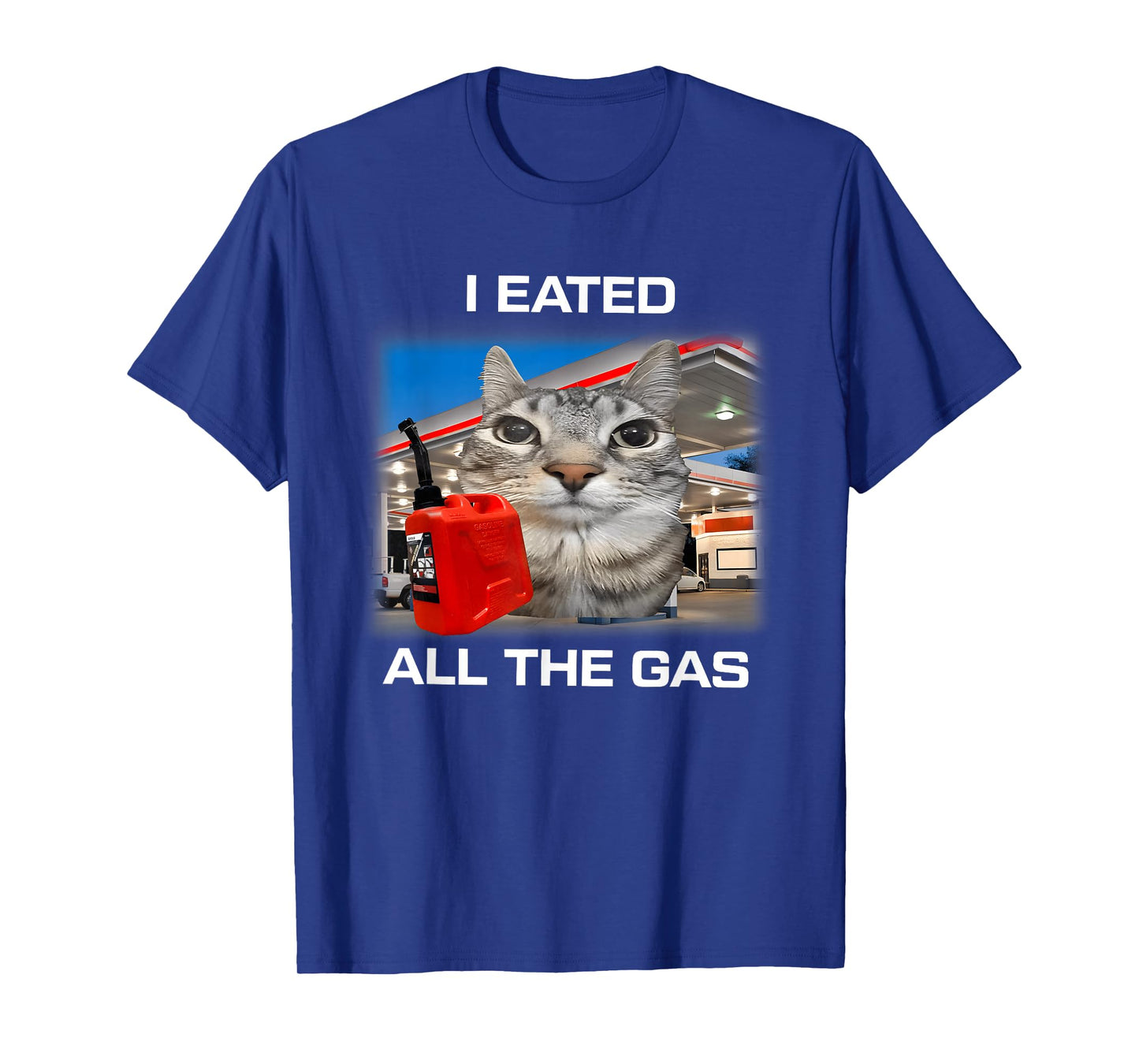 I Eated All The Gas Cat Meme Gen Z Humor Y2k Kitten Meme T-Shirt