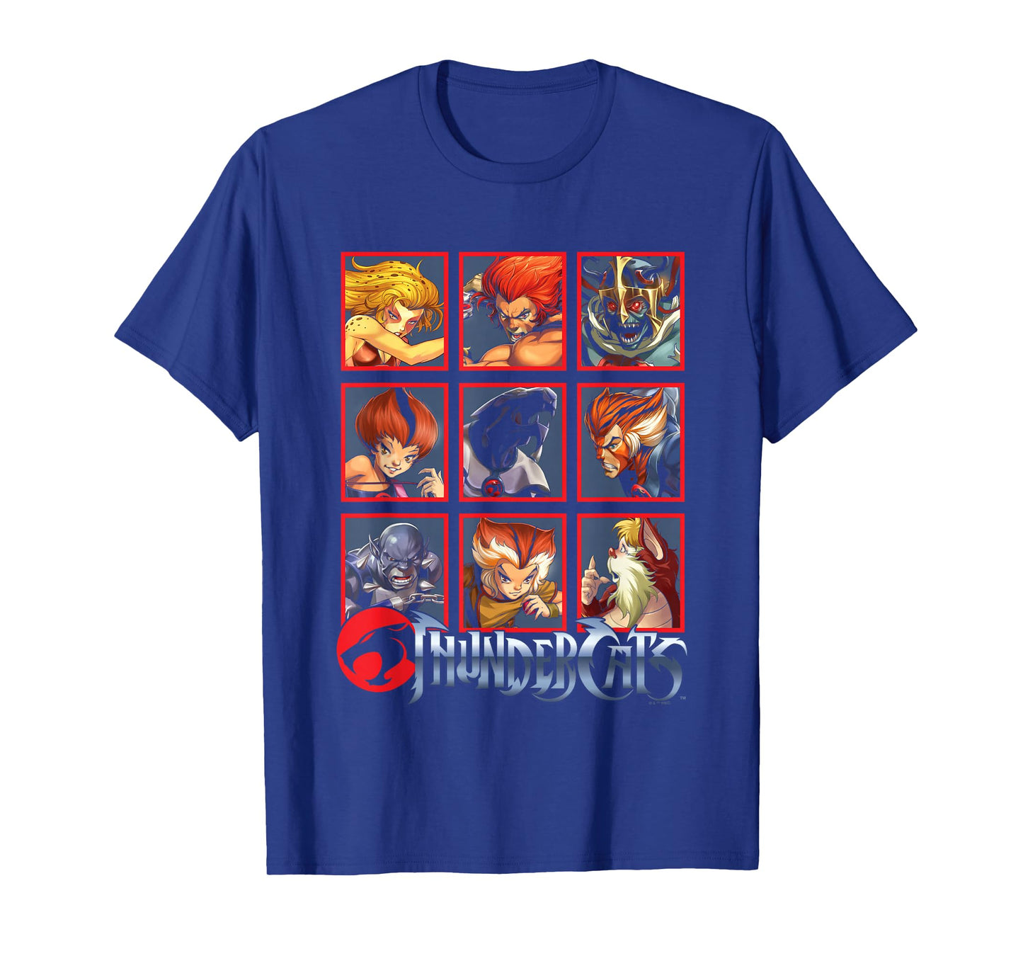 ThunderCats Bring The Thunder Vintage Box Up T-Shirt