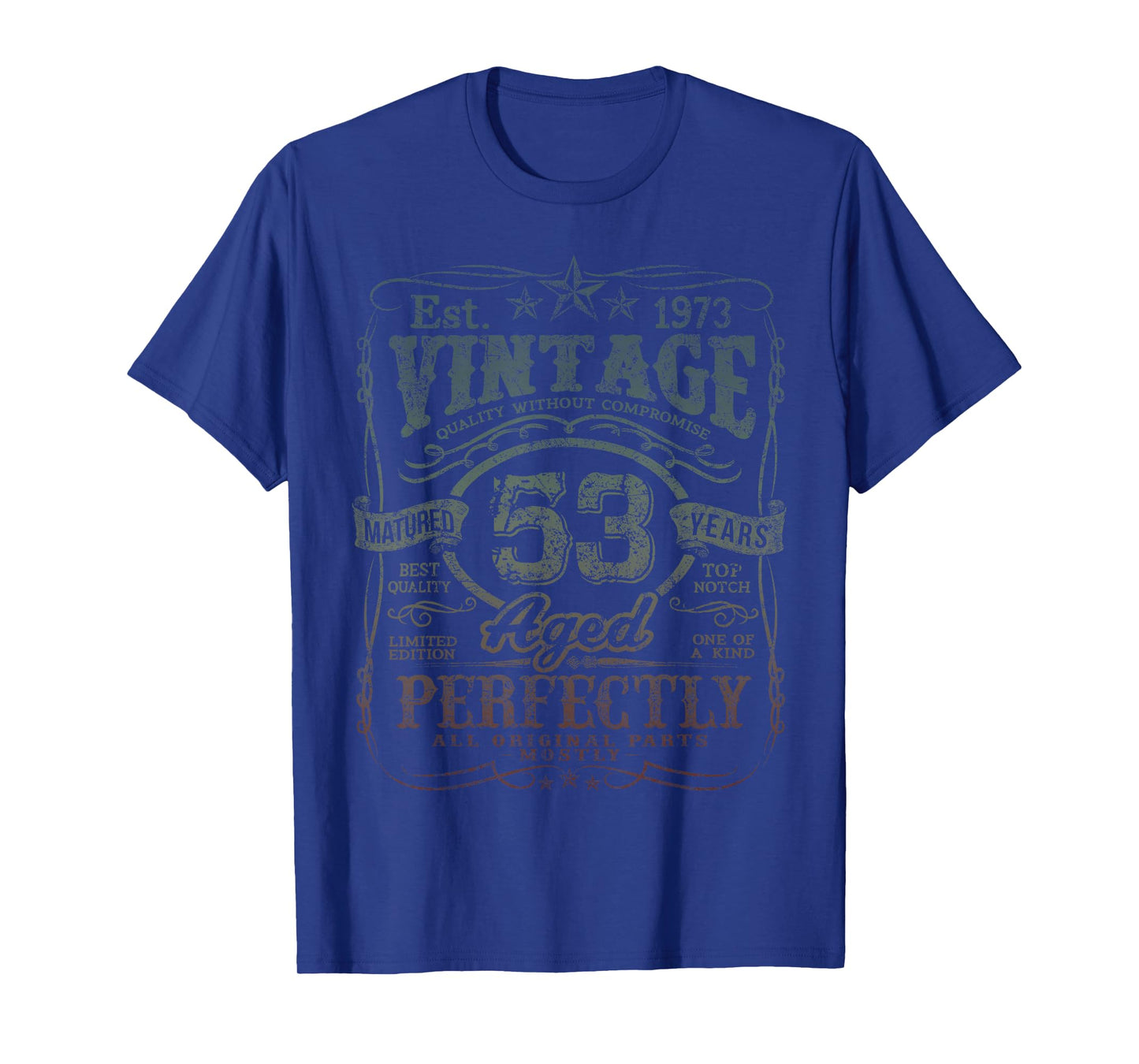 Vintage 1973 Limited Edition Shirt 53 Year Old 53rd Birthday T-Shirt