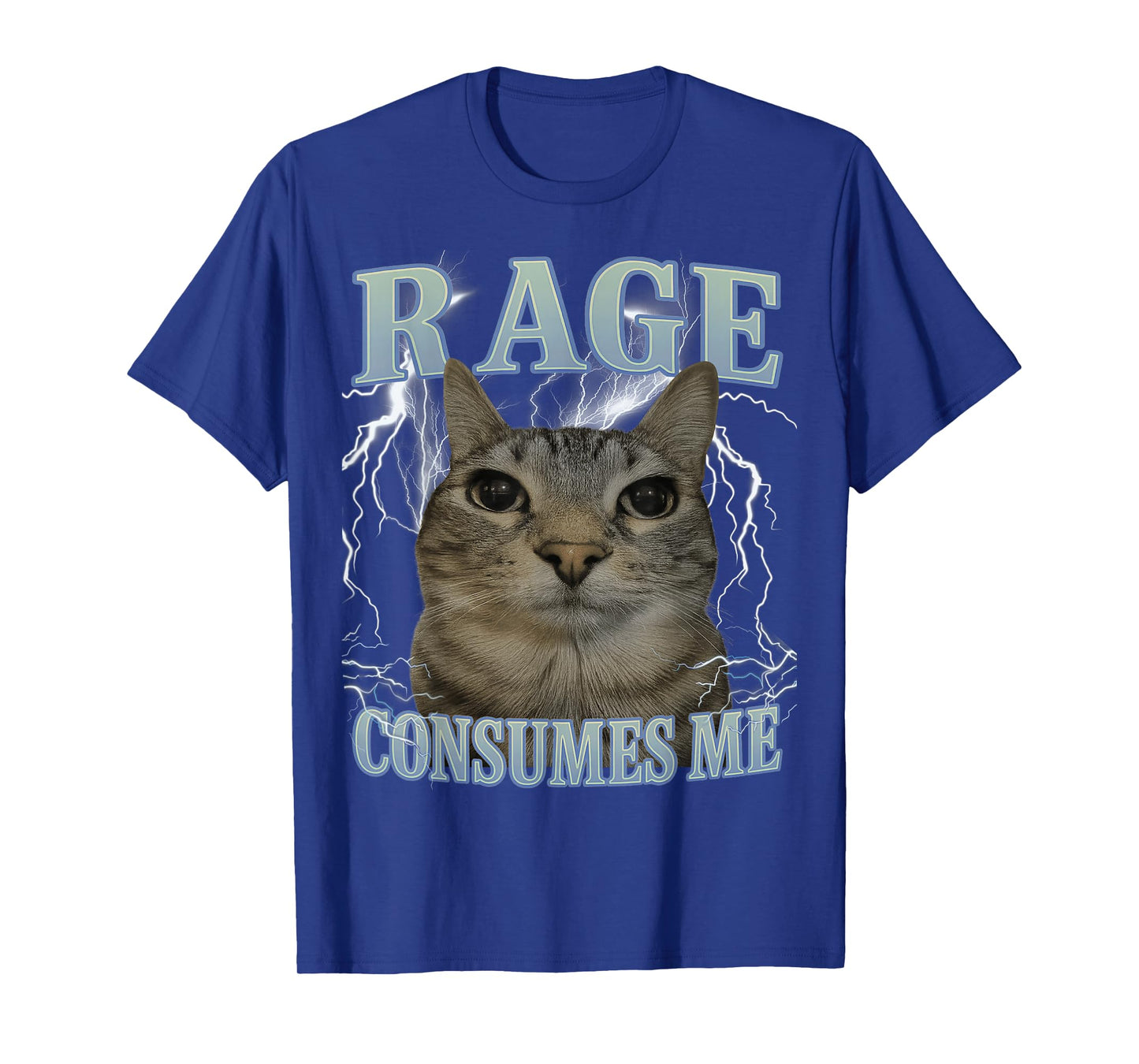 Rage Consumes Me Cat Silly Funny Cat Meme Men Women Graphic T-Shirt
