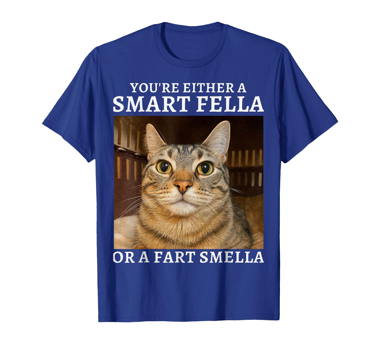 You're Either a Smart Fella or a Fart Smella Funny Cat Humor T-Shirt