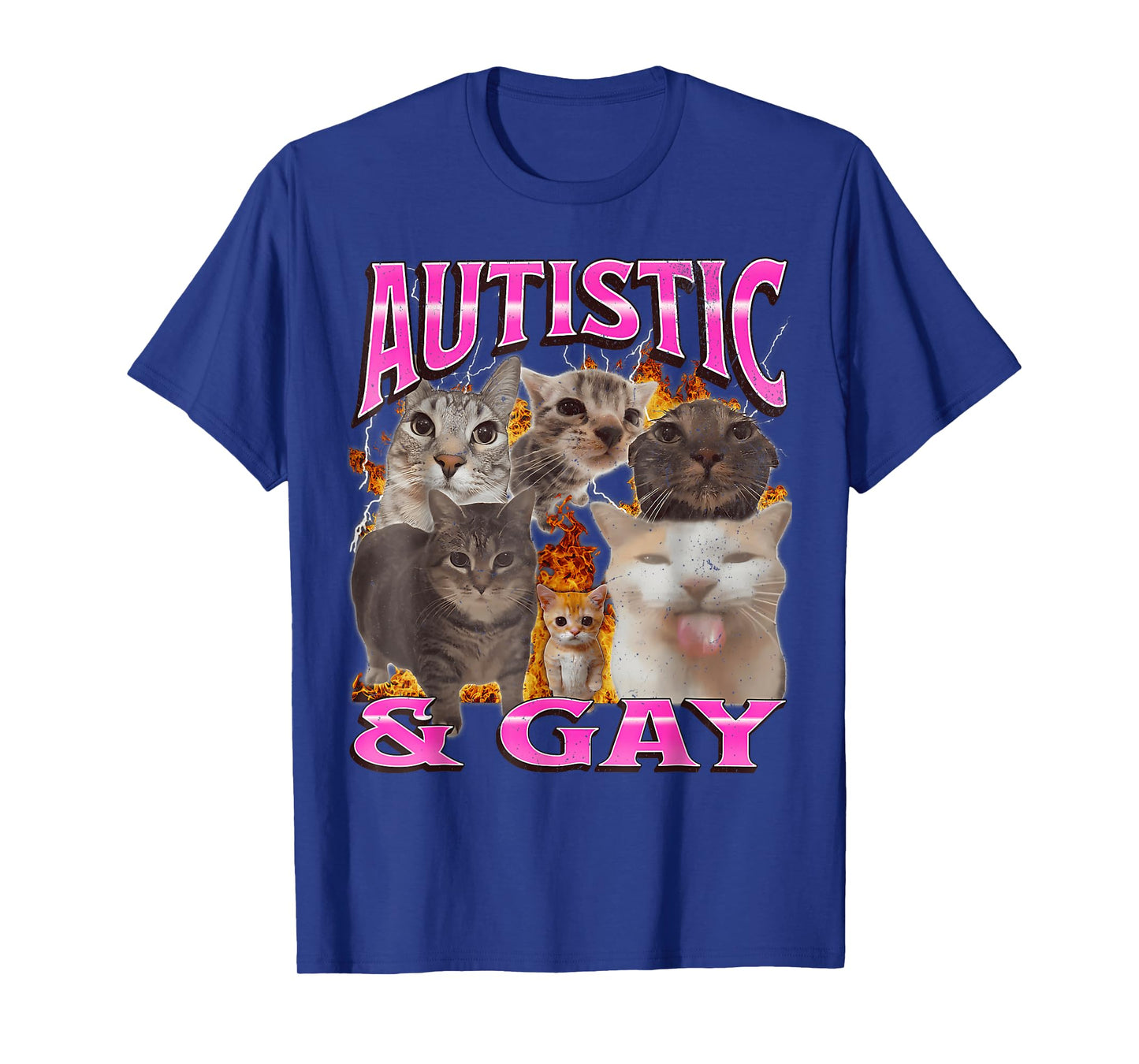 Autistic and Gay Funny Cat Meme Bootleg Graphic T Shirt T-Shirt