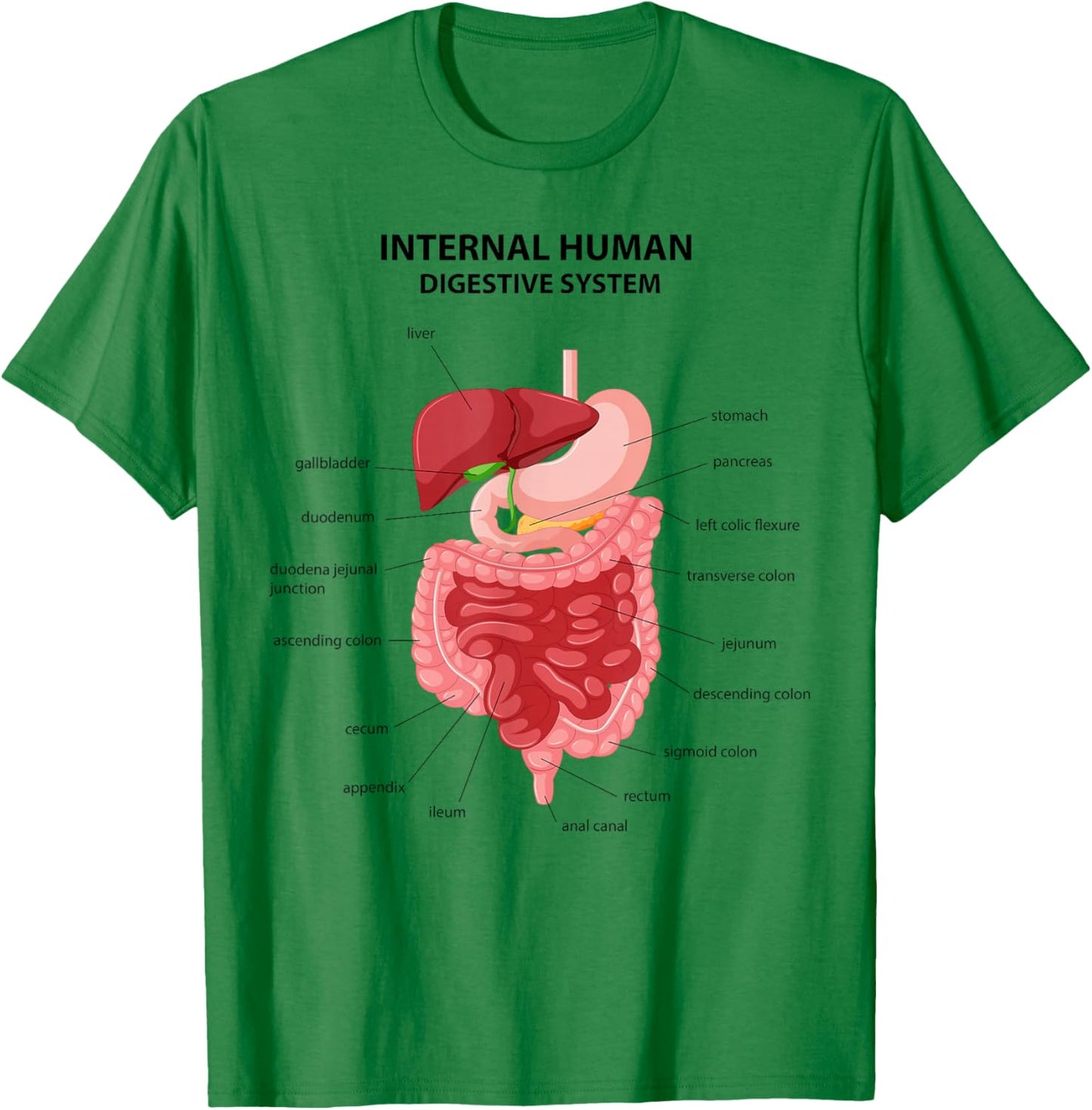 Funny Digestive System Anatomy Anatomical Biology Teacher T-Shirt - T-Shirt | Irish Green