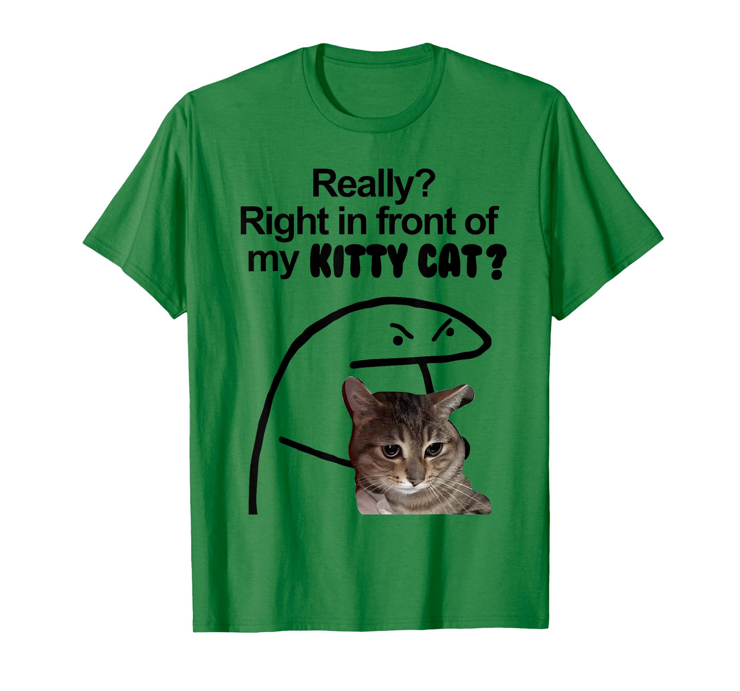 Really? Right in front of my KITTY CAT Meme T-Shirt