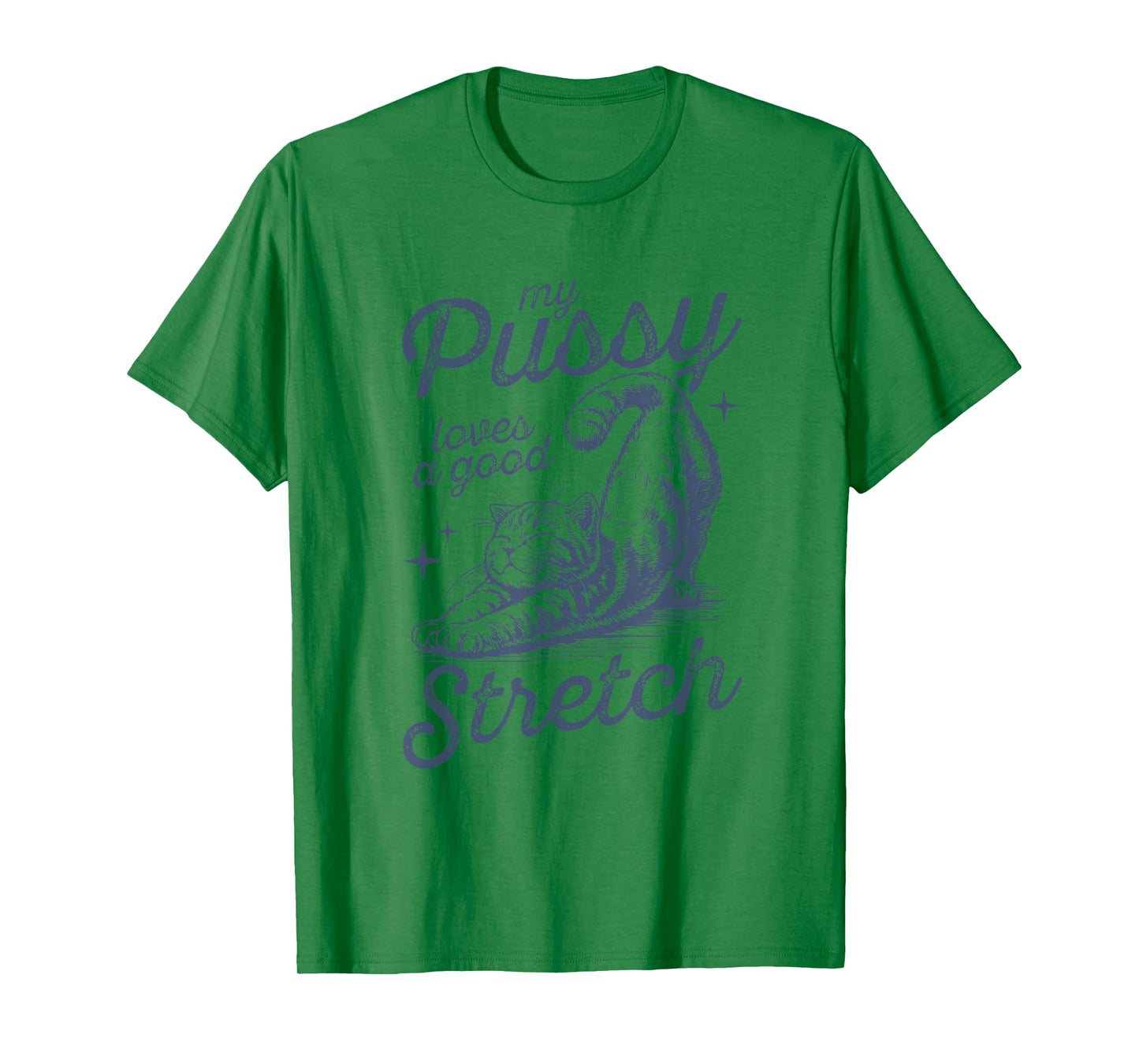 My Pussy Loves A Good Stretch Funny Meme T-Shirt