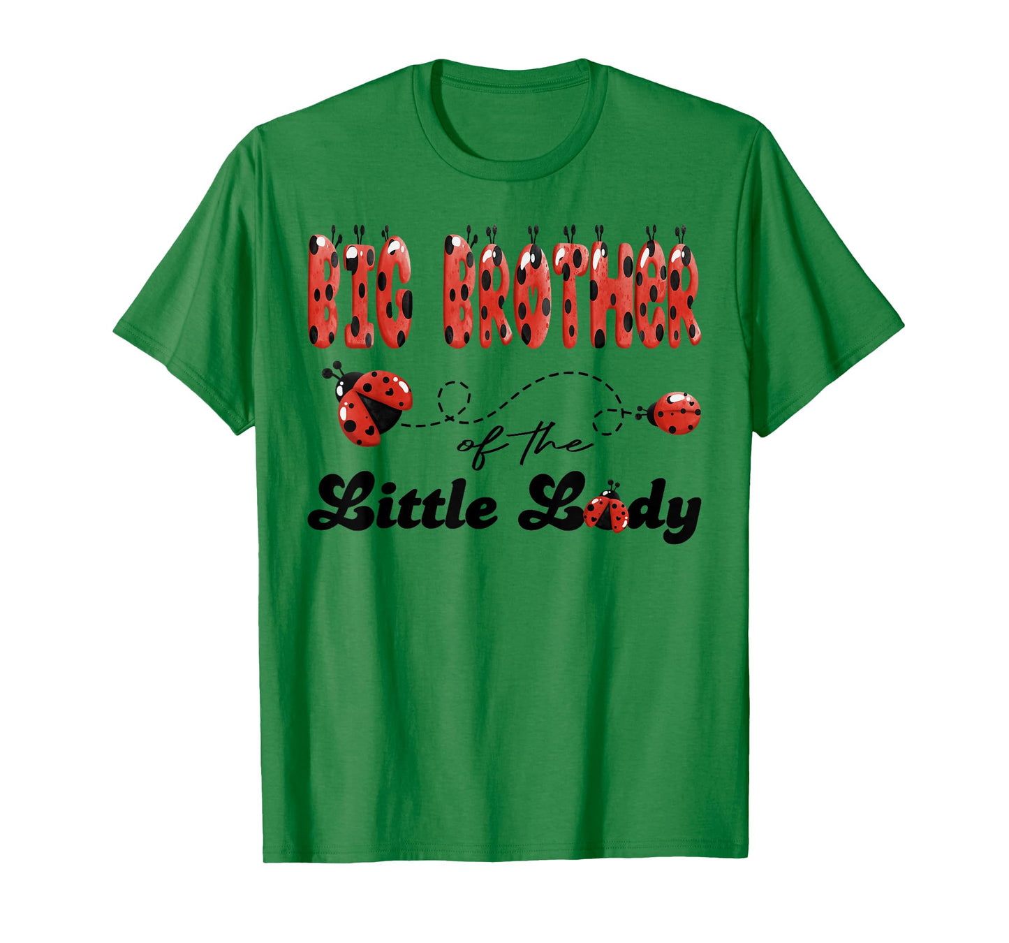 Big Brother of The Little Lady Birthday Girl Ladybug Lover T-Shirt