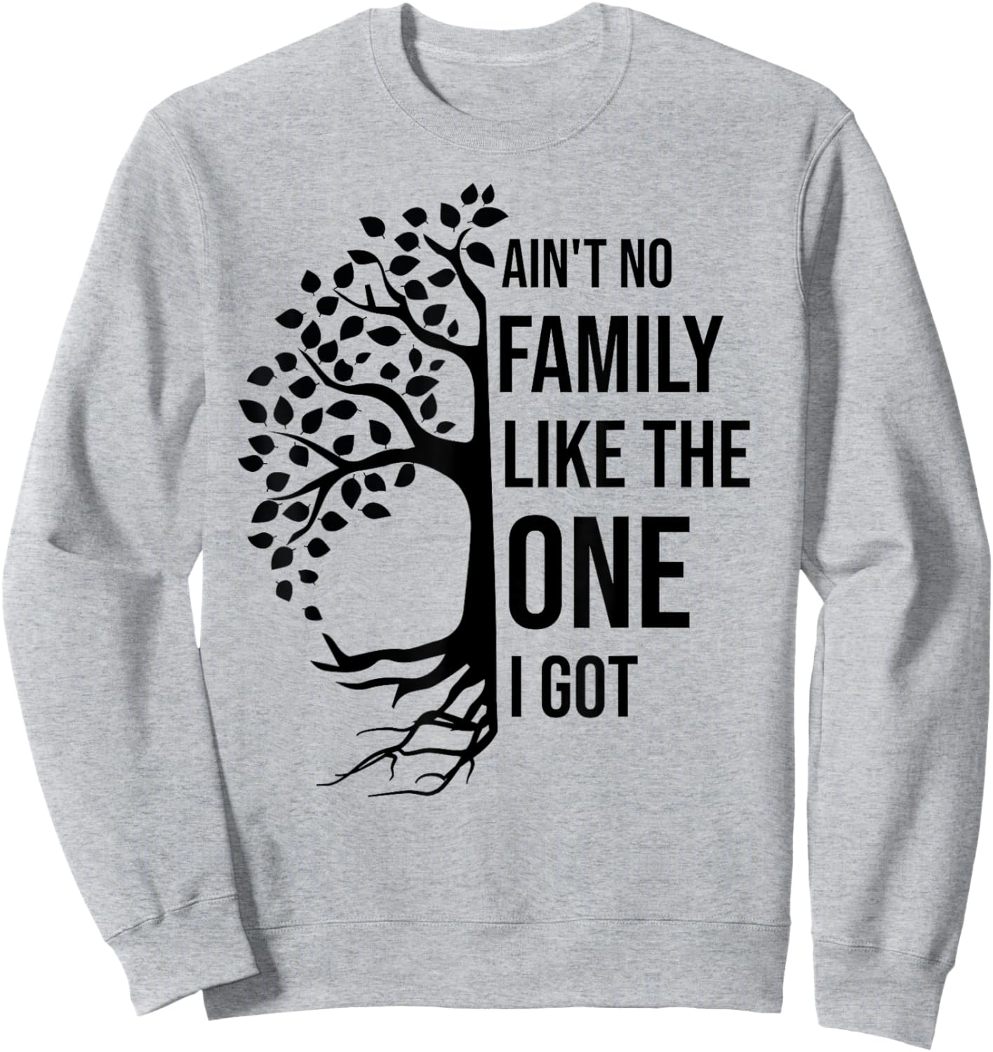Ain't No Family Like The One I Got Funny Family Reunion Sweatshirt - Sweatshirt | Ash