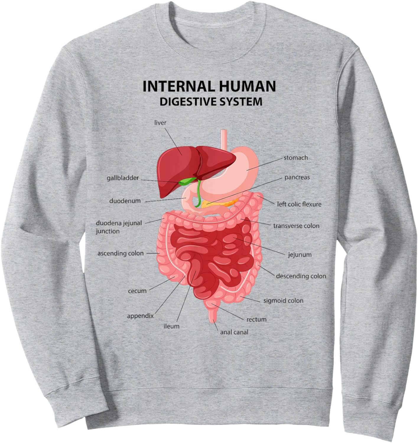 Funny Digestive System Anatomy Anatomical Biology Teacher Sweatshirt - Sweatshirt | Ash