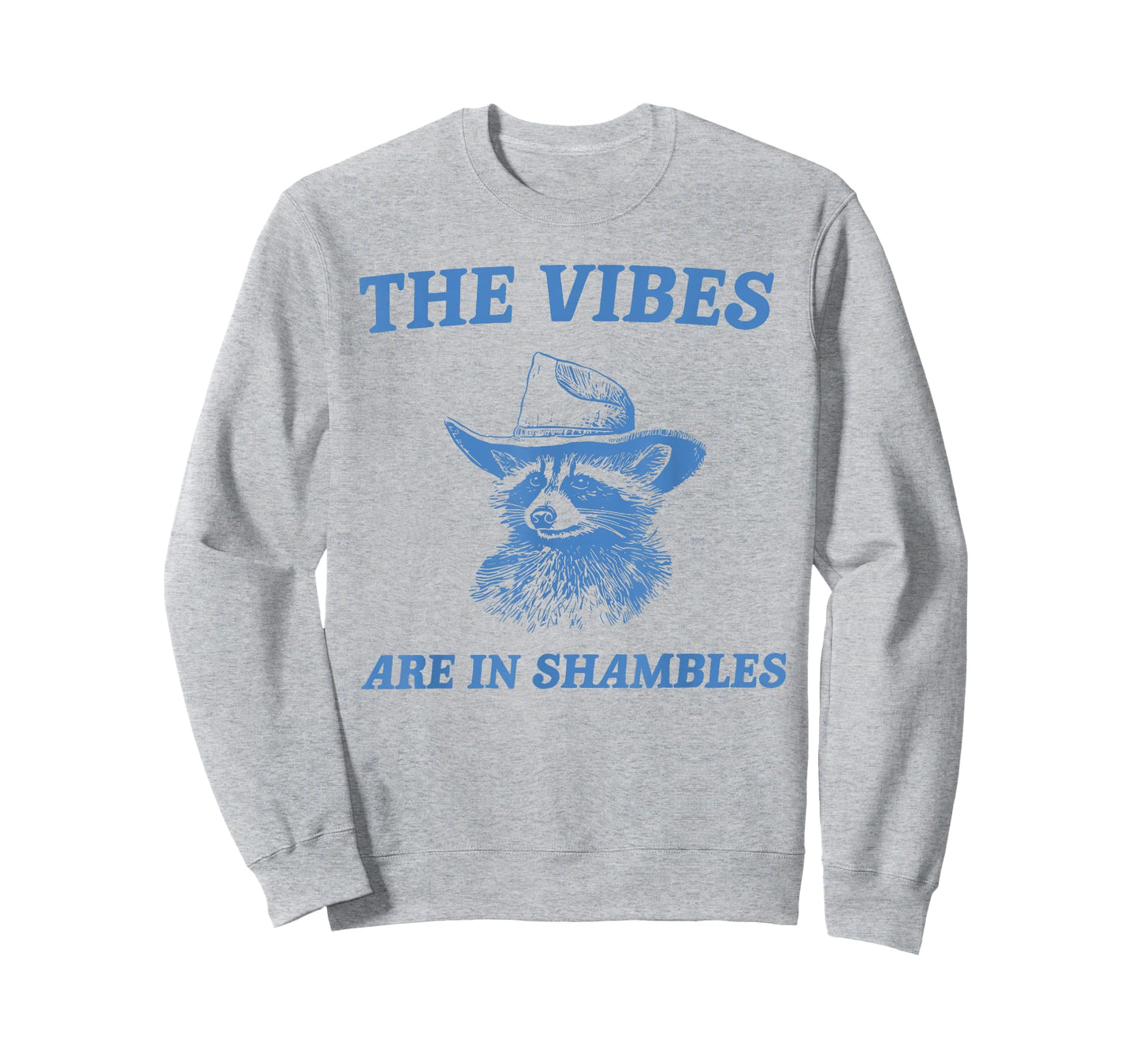 The Vibes are in Shambles Cute Raccoon Mental Health Matters T-Shirt