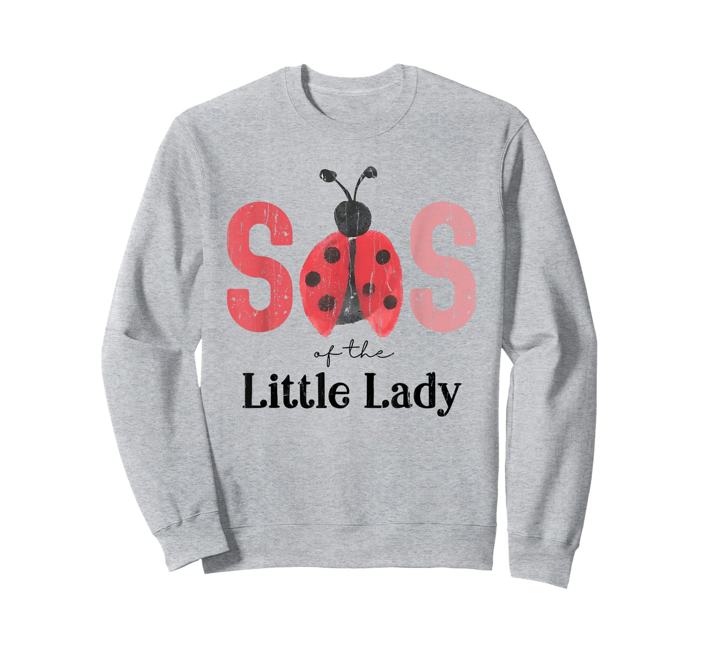 Sis of The Little Lady, Sister Ladybug First Birthday T-Shirt