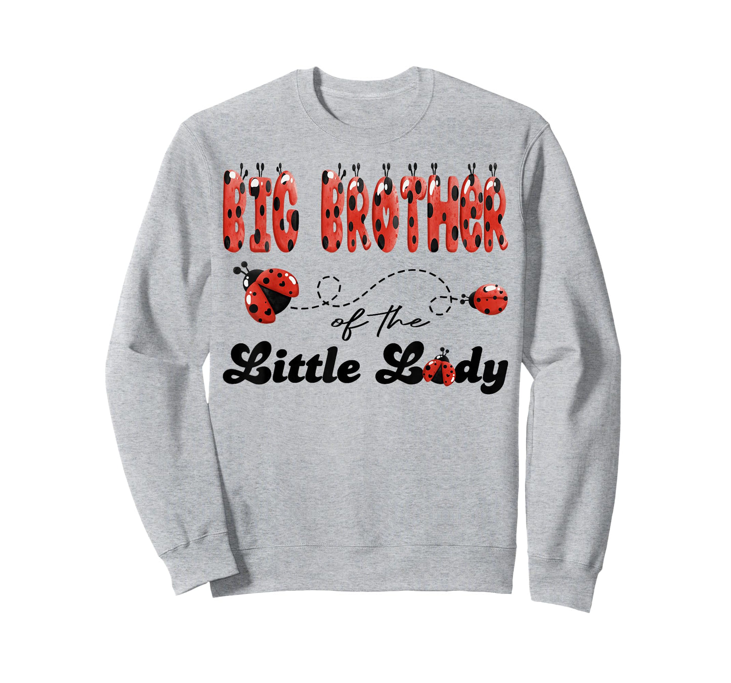Big Brother of The Little Lady Birthday Girl Ladybug Lover T-Shirt