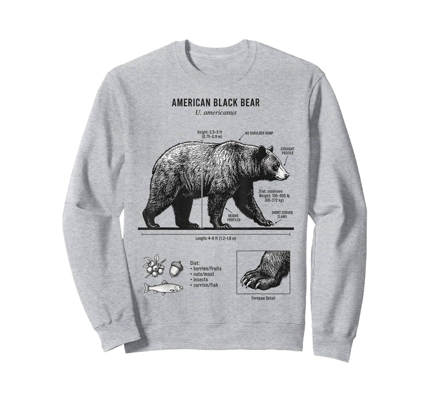 American Black Bear Anatomy Illustration for Nature Lovers T-Shirt