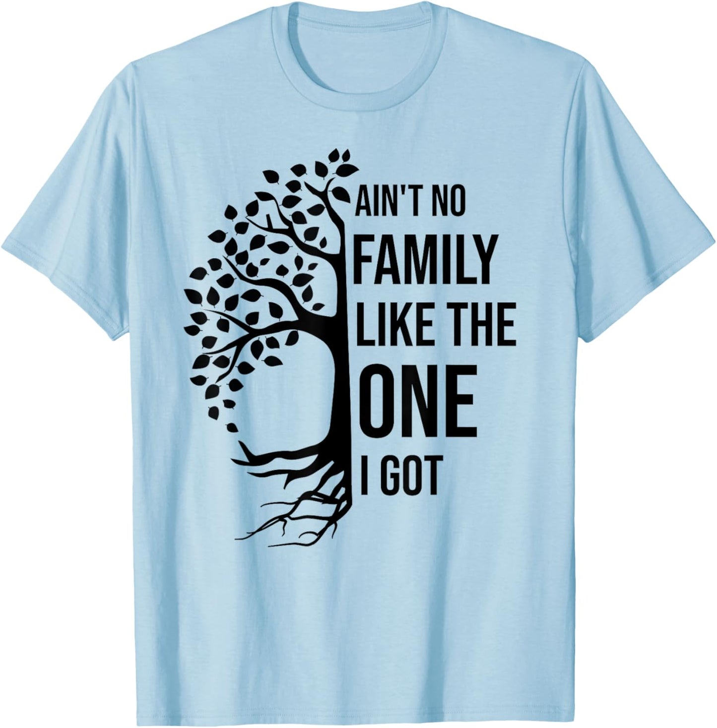 Ain't No Family Like The One I Got Funny Family Reunion T-Shirt - T-Shirt | Light Blue